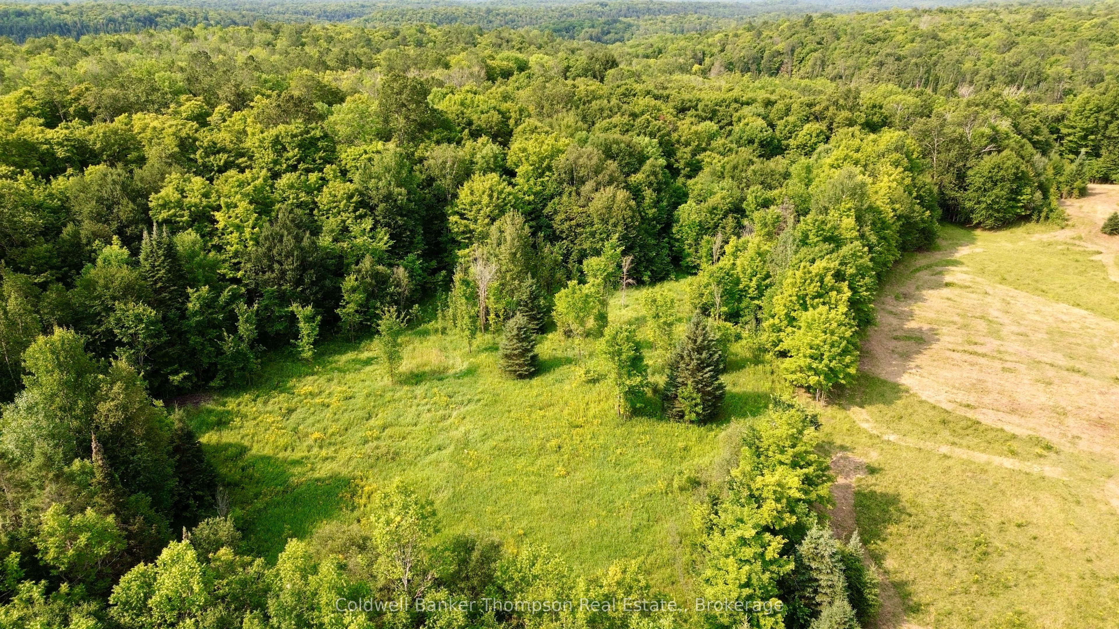 12899 522 Highway W Property Photo 9