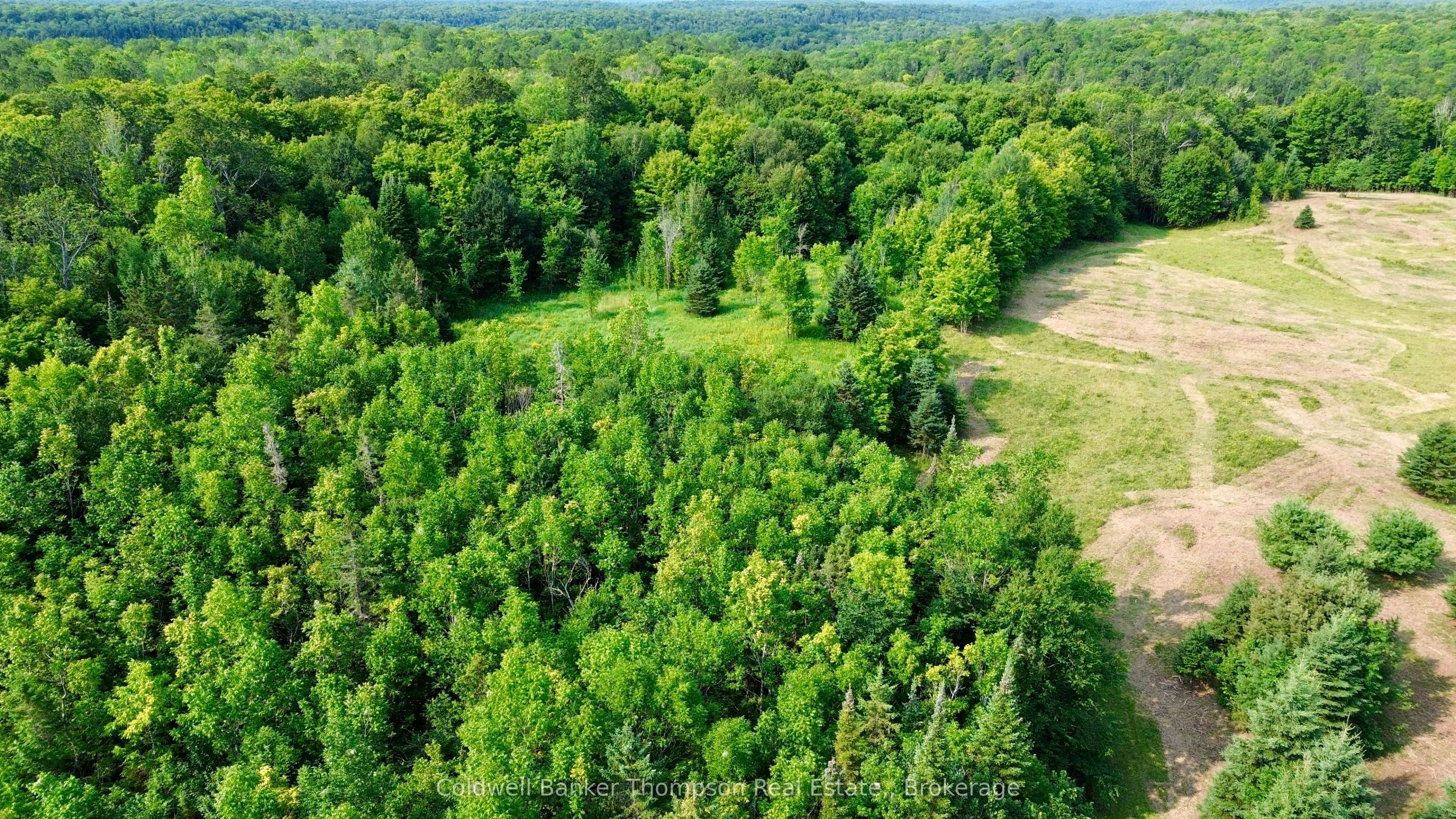 12899 522 Highway W Property Photo 10