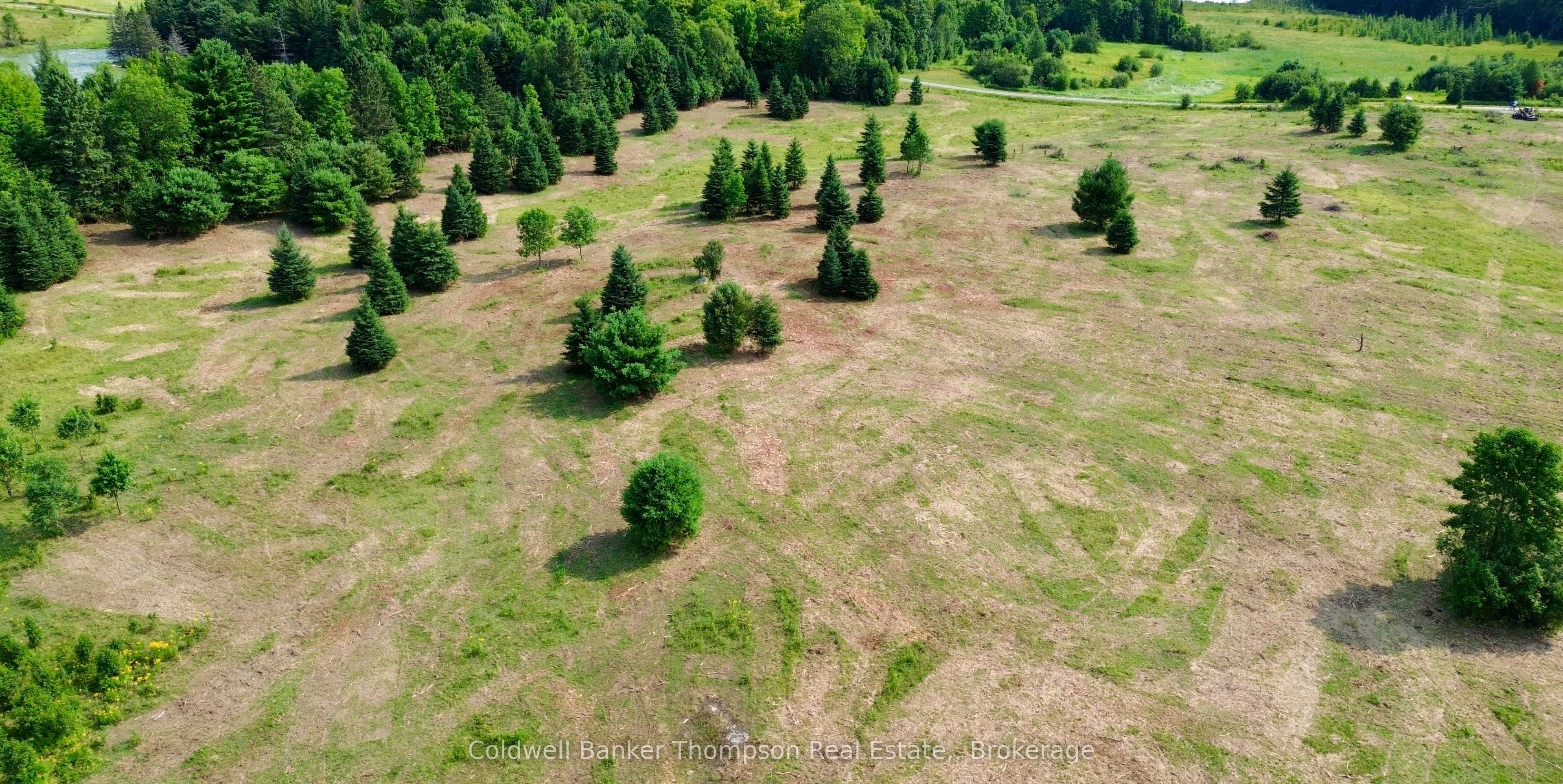 12899 522 Highway W Property Photo 11