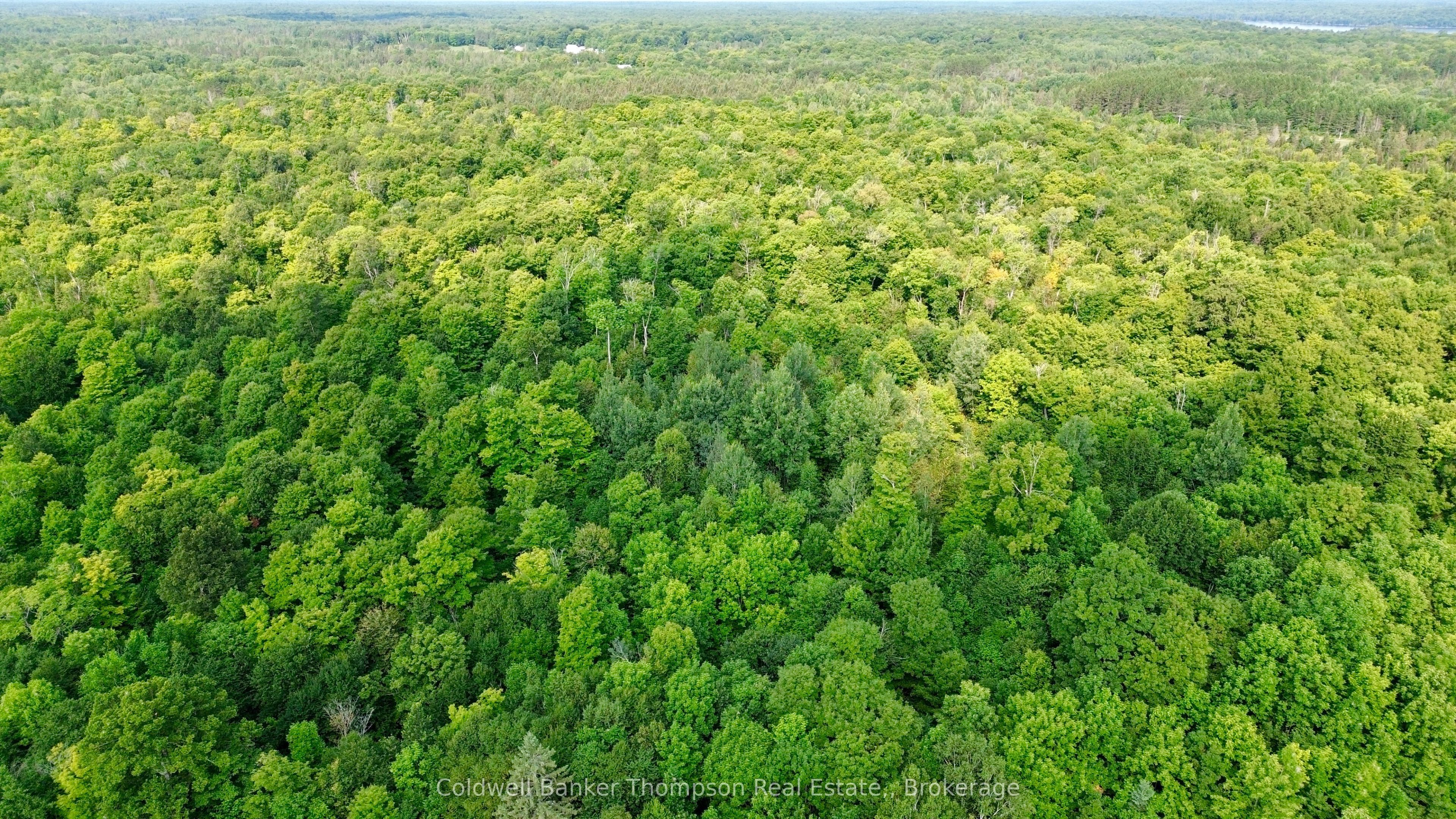 12899 522 Highway W Property Photo 18