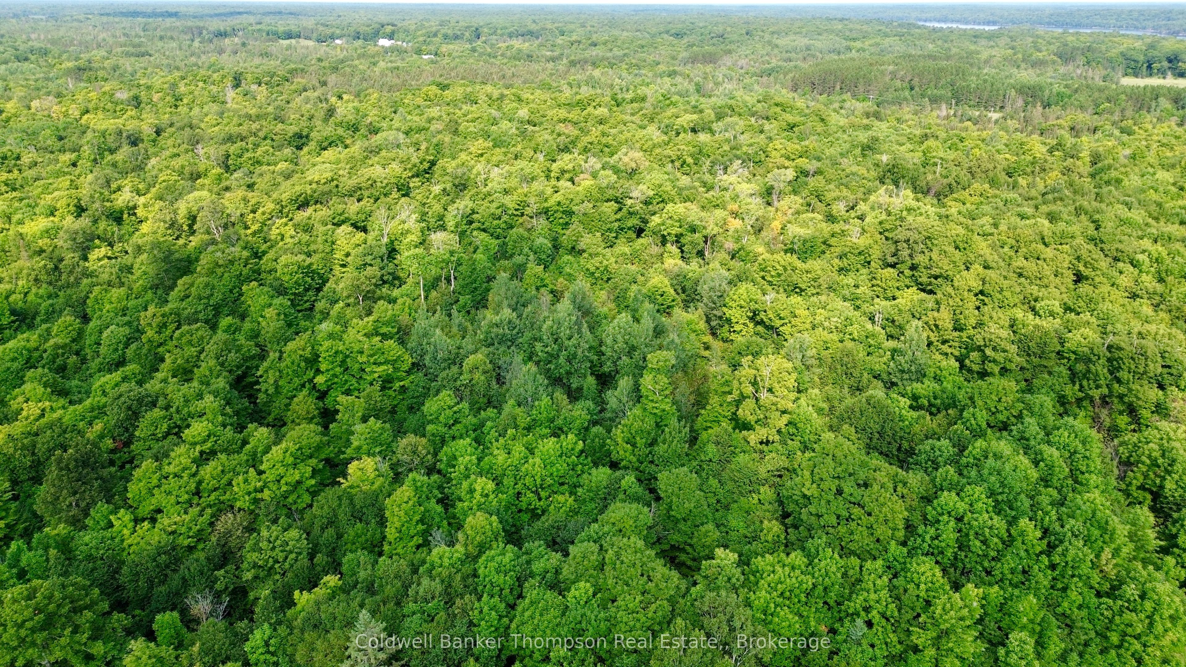 12899 522 Highway W Property Photo 19