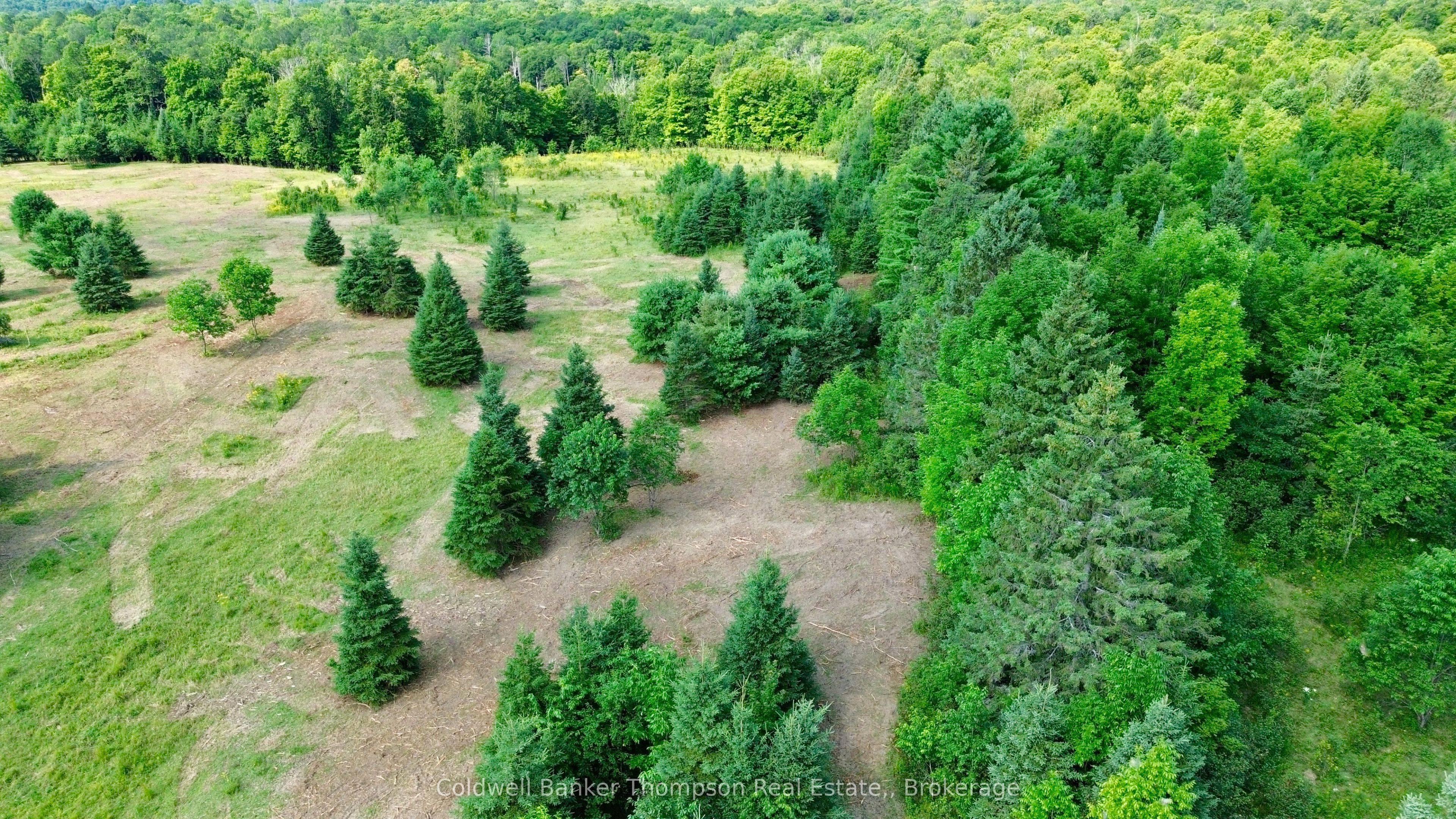 12899 522 Highway W Property Photo 22