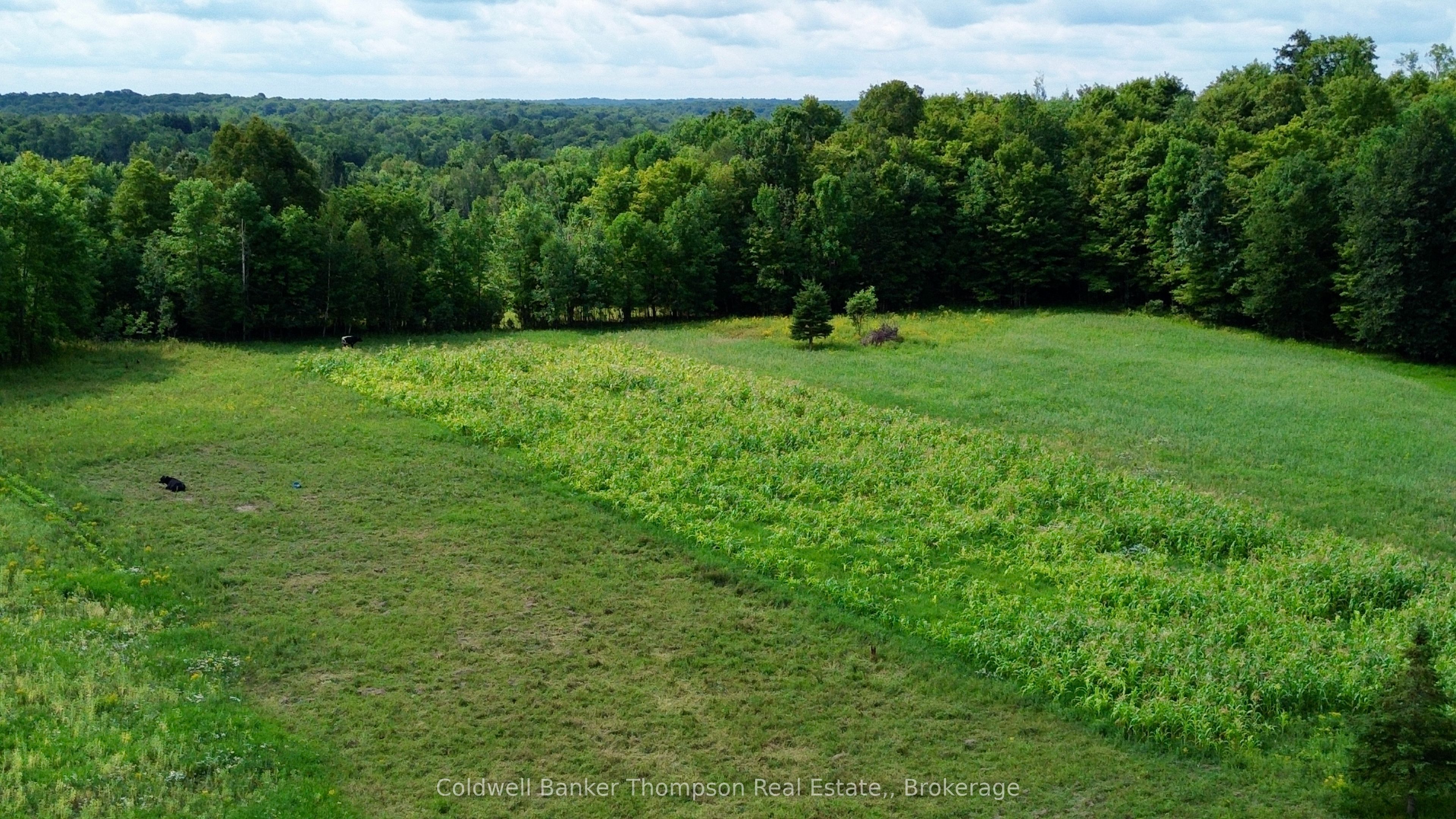 12899 522 Highway W Property Photo 23