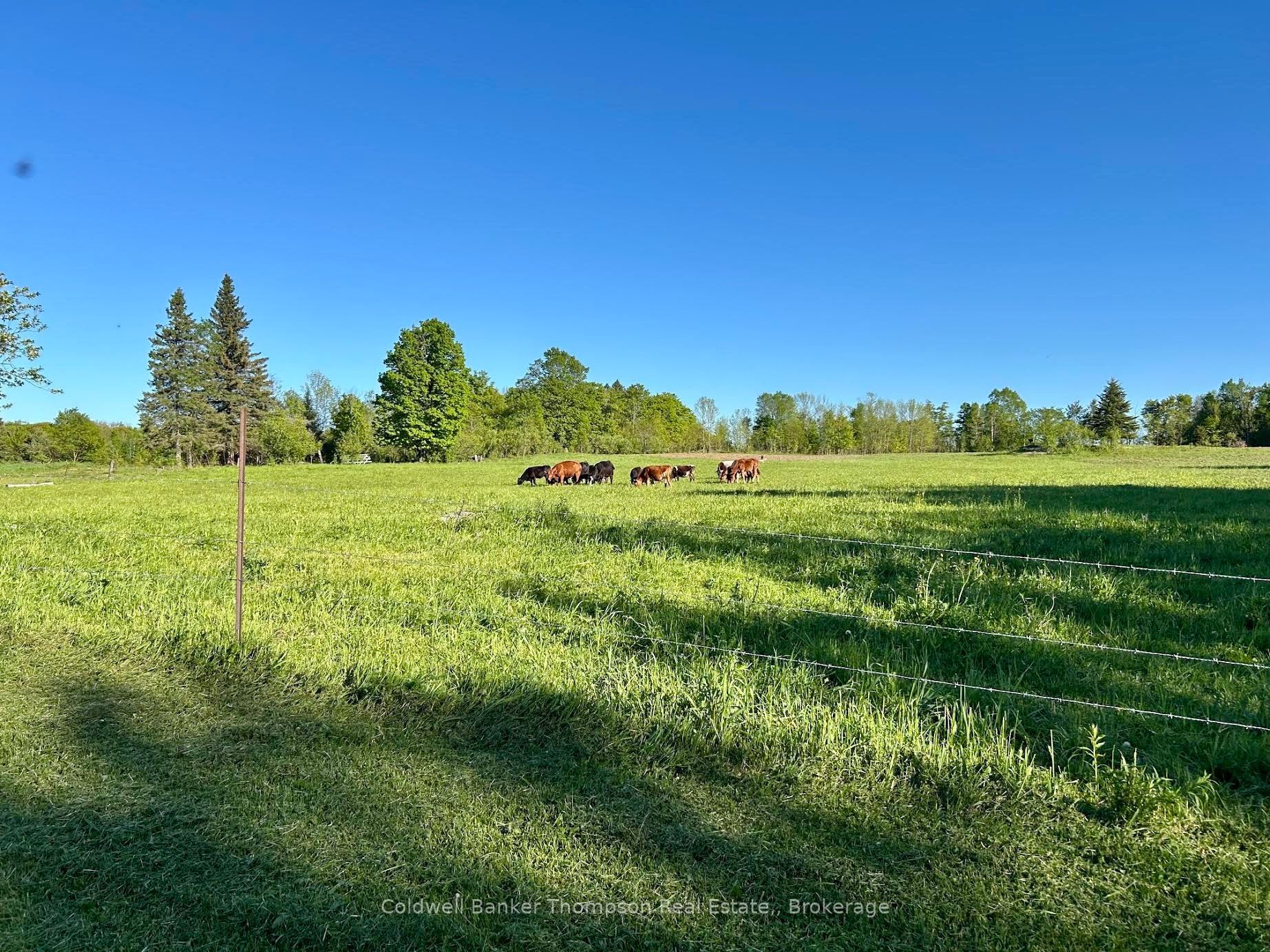 12899 522 Highway W Property Photo 32