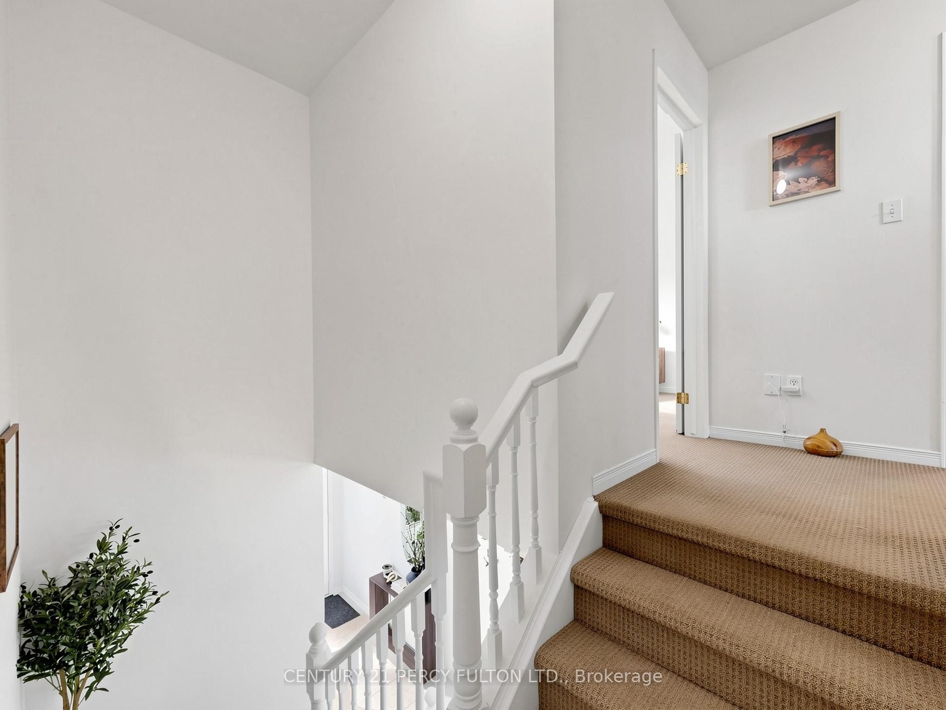 229 Dicenzo Drive Property Photo 18