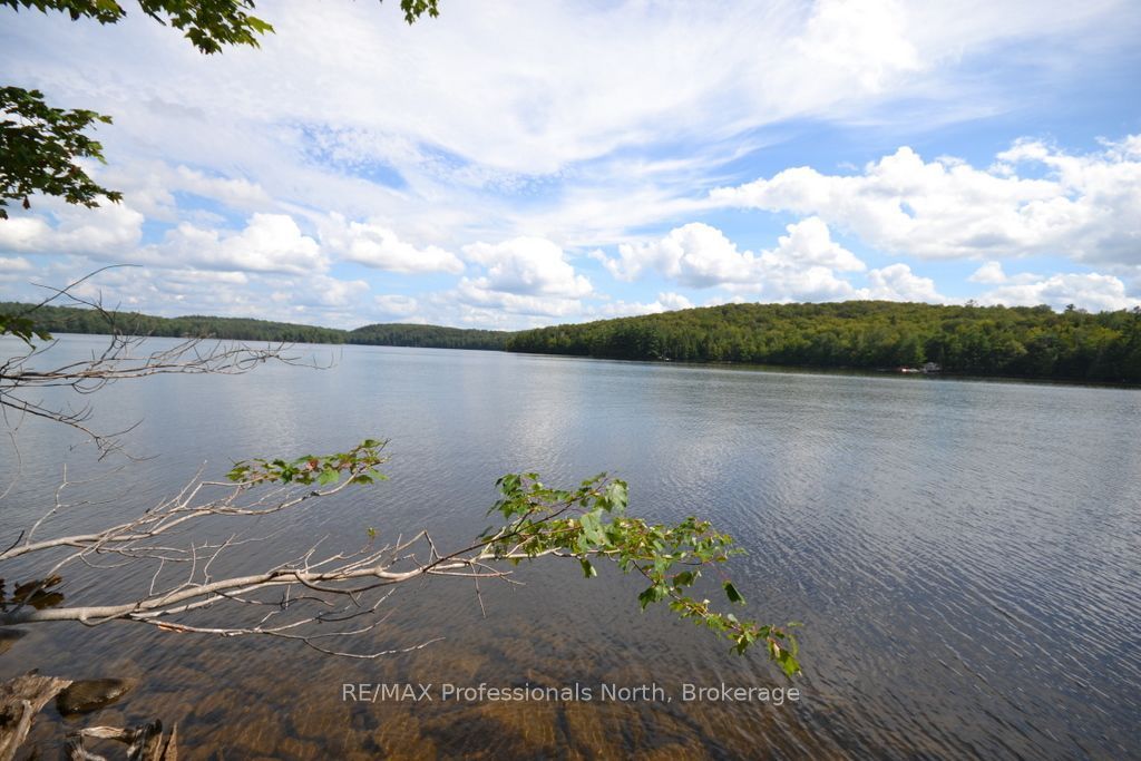 Tbd Spruce Lake Trail Property Photo 6
