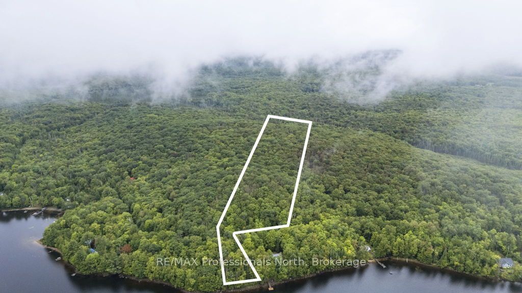 Tbd Spruce Lake Trail Property Photo 19