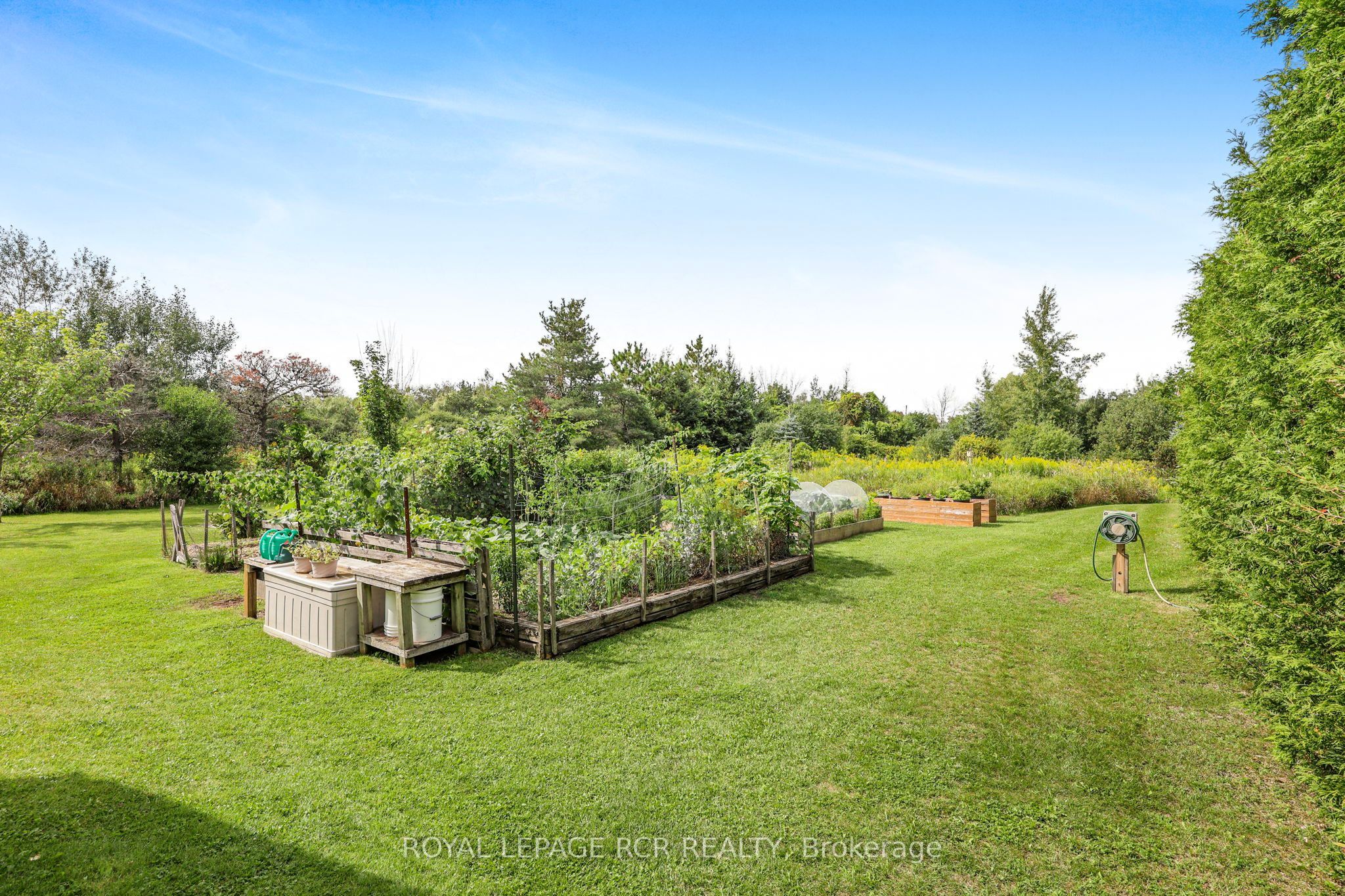 245319 5 Side Road Property Photo 44