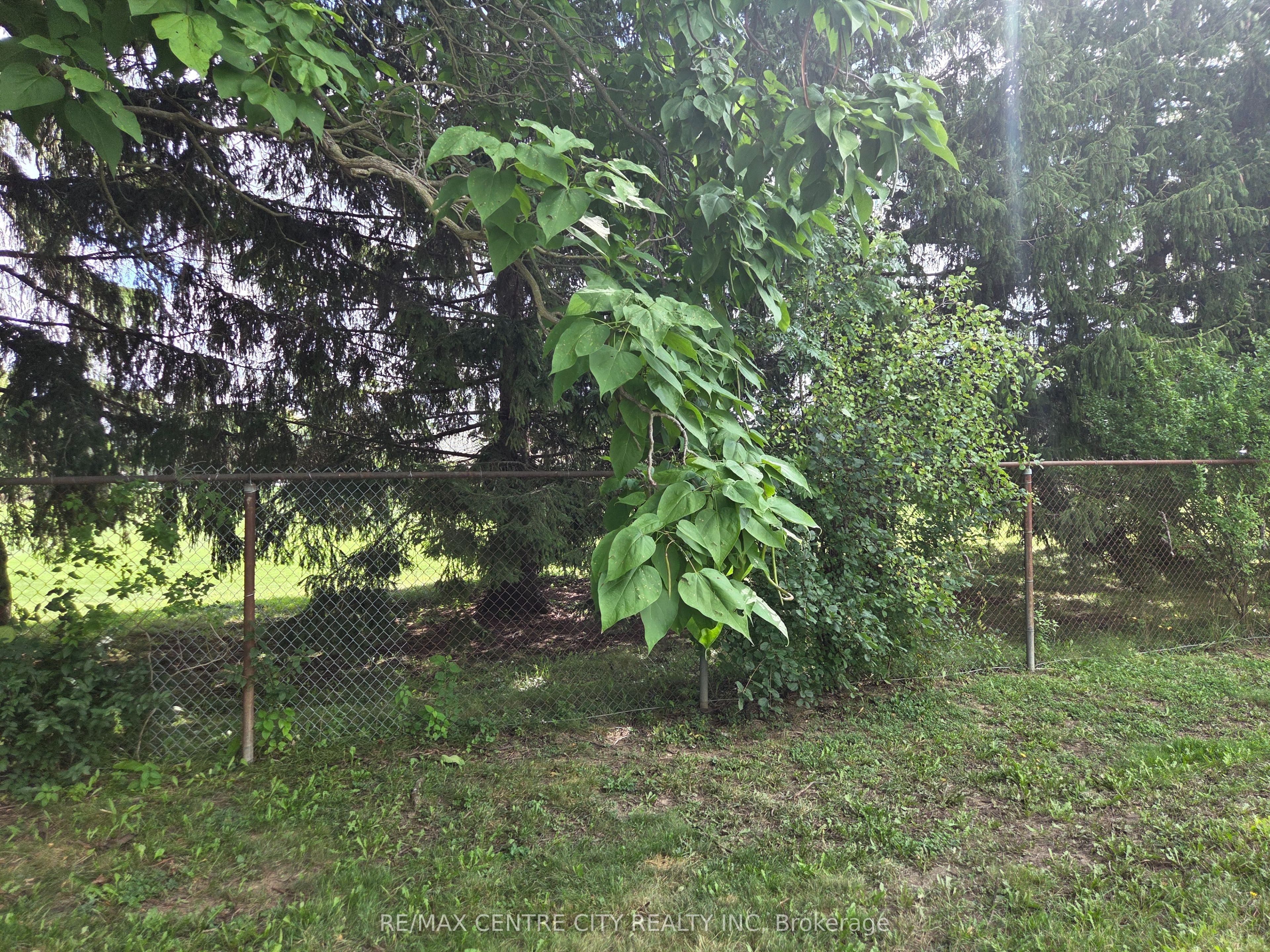 70 Fiddlers Green Road 100 Property Photo 15