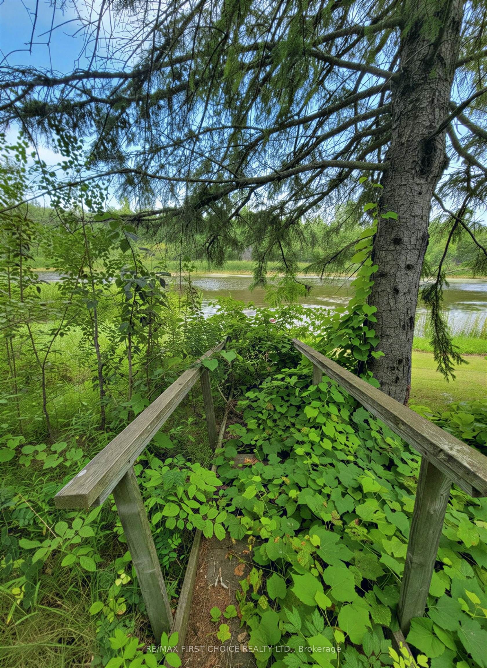 99 Kreger Rd Property Photo 6