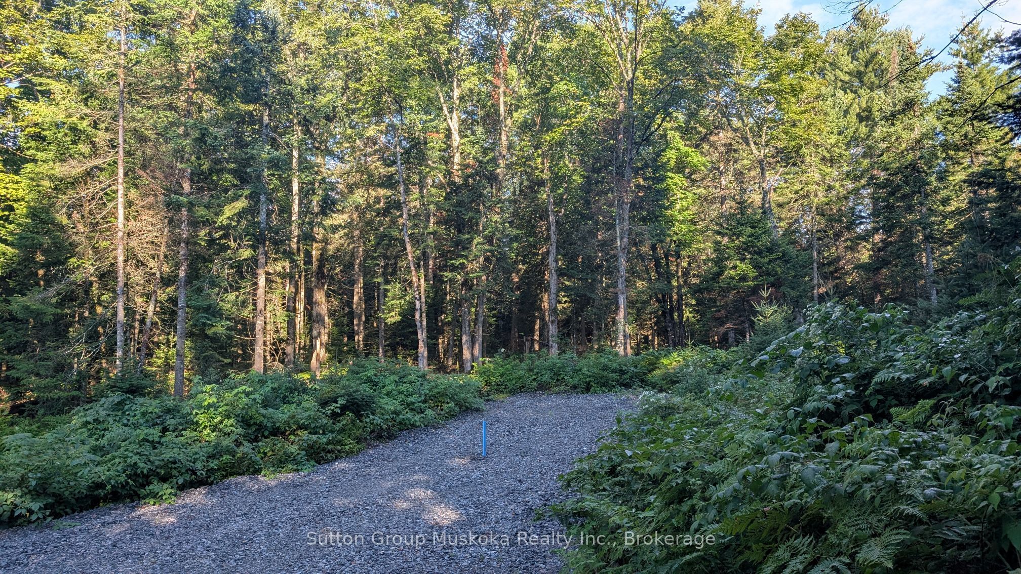 194 Clarkes Lane Property Photo 6