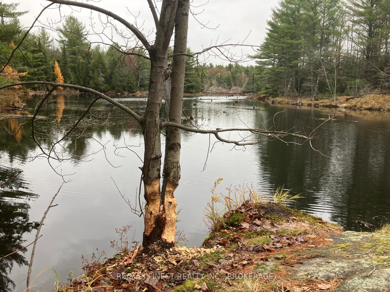 119 Kennebec Road Property Photo 7