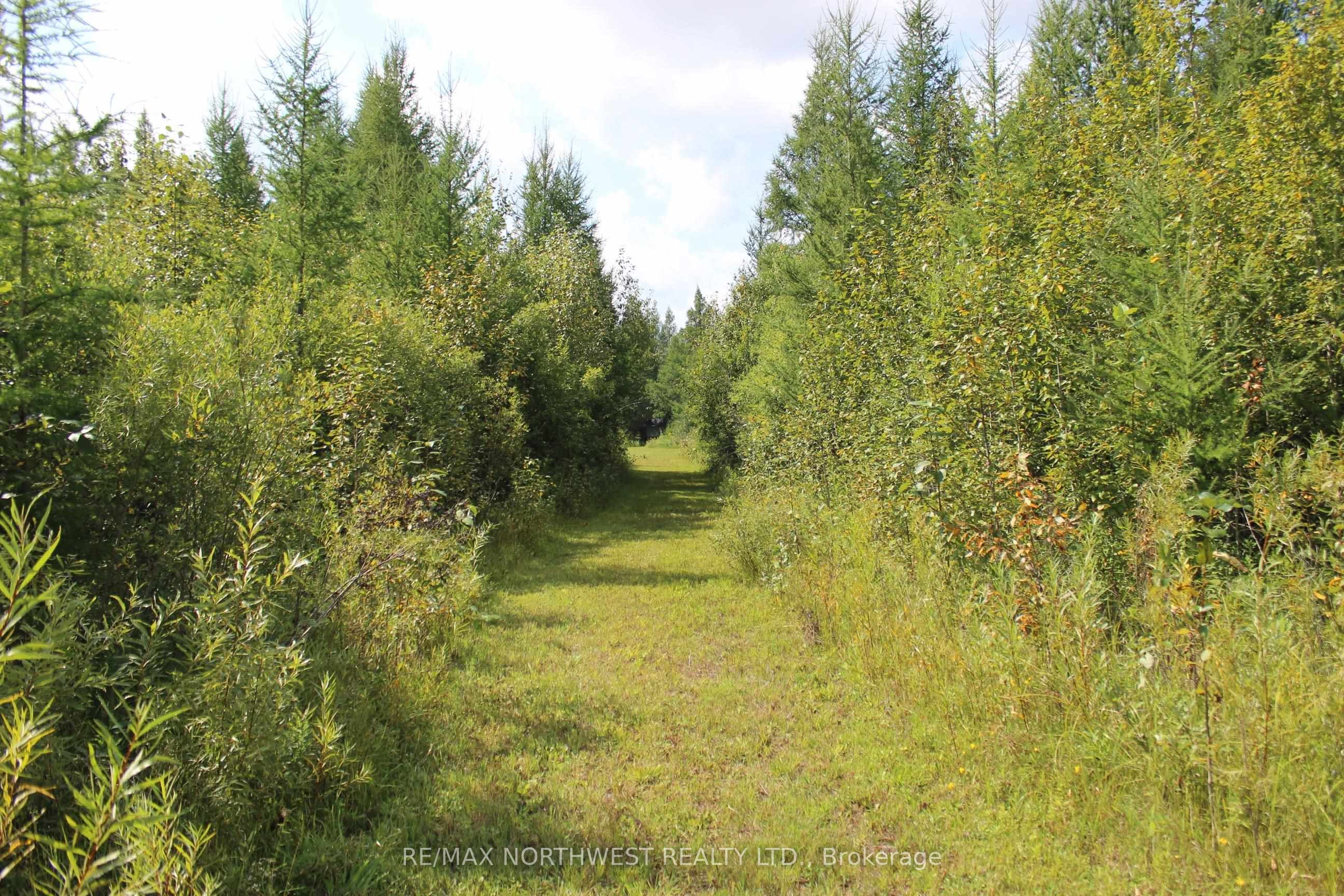Pcl 13496 Blue Rd 2 Property Photo 30