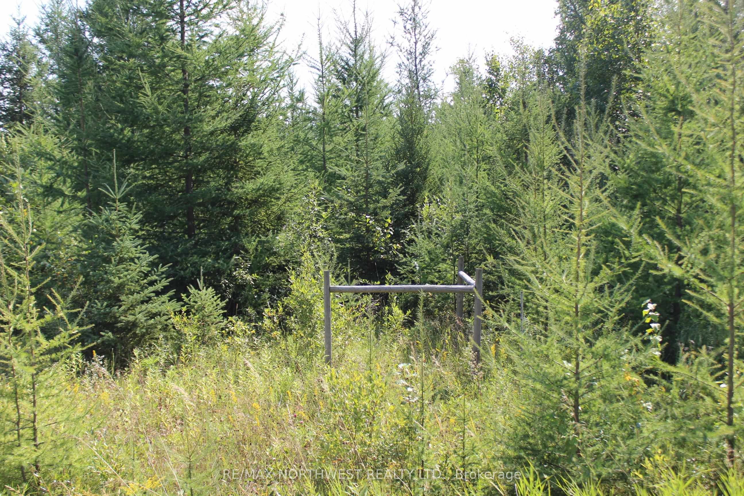 Pcl 13496 Blue Rd 2 Property Photo 36