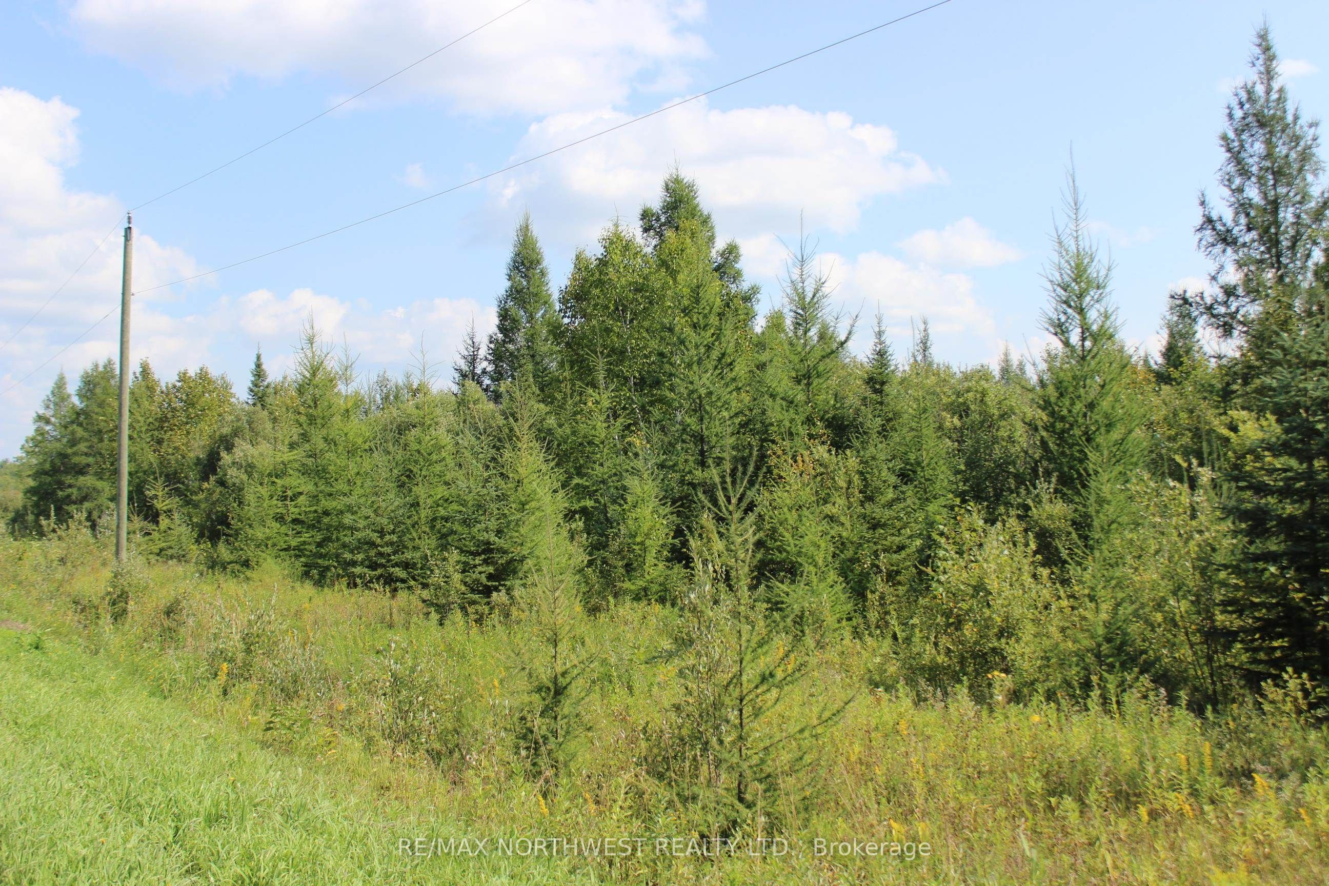 Pcl 13496 Blue Rd 2 Property Photo 37