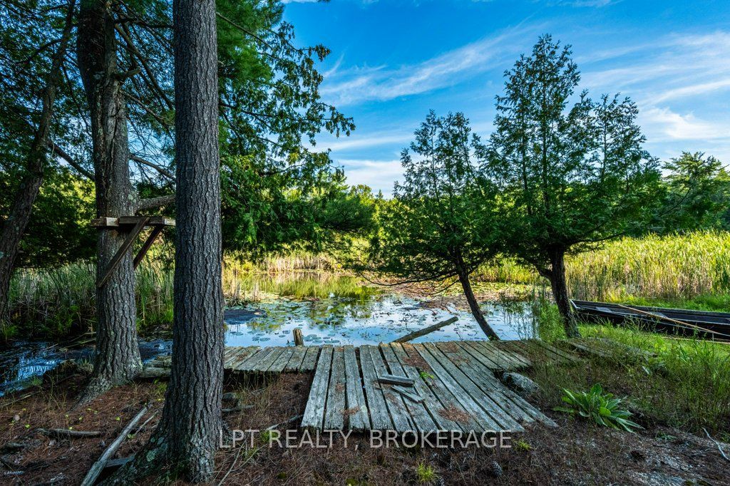 131 Leisure Point Road Property Photo 4