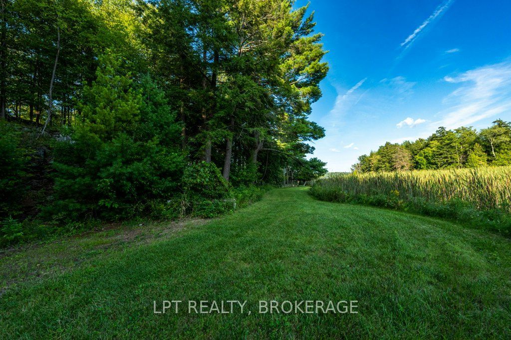 131 Leisure Point Road Property Photo 41