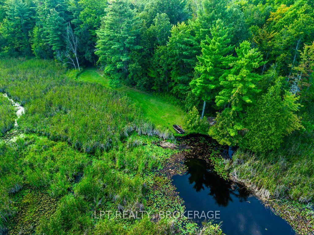 131 Leisure Point Road Property Photo 46
