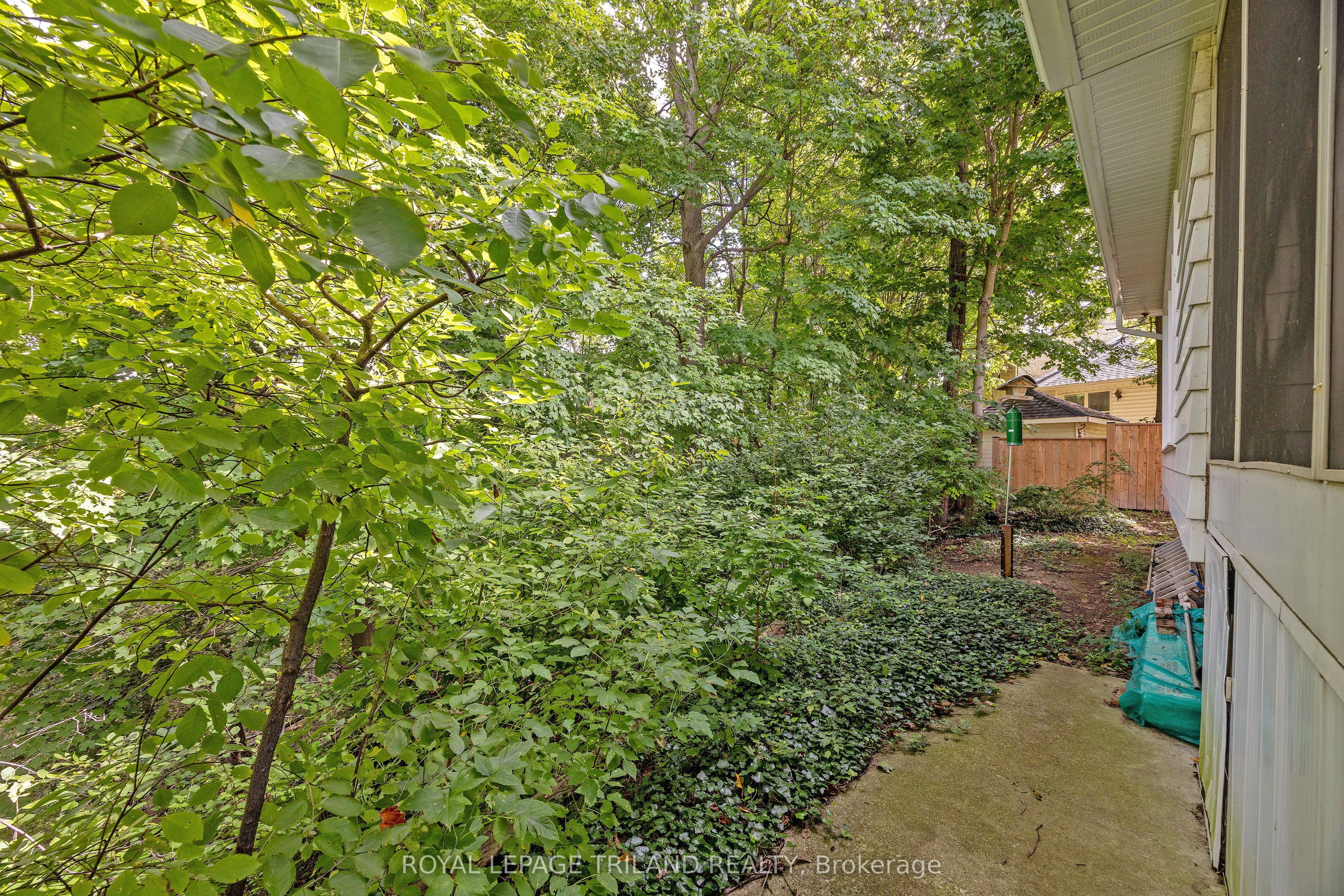 10 Regent Street Property Photo 39
