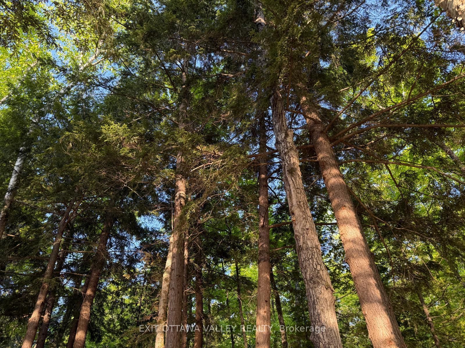 0 Lakeshore Drive Property Photo 19
