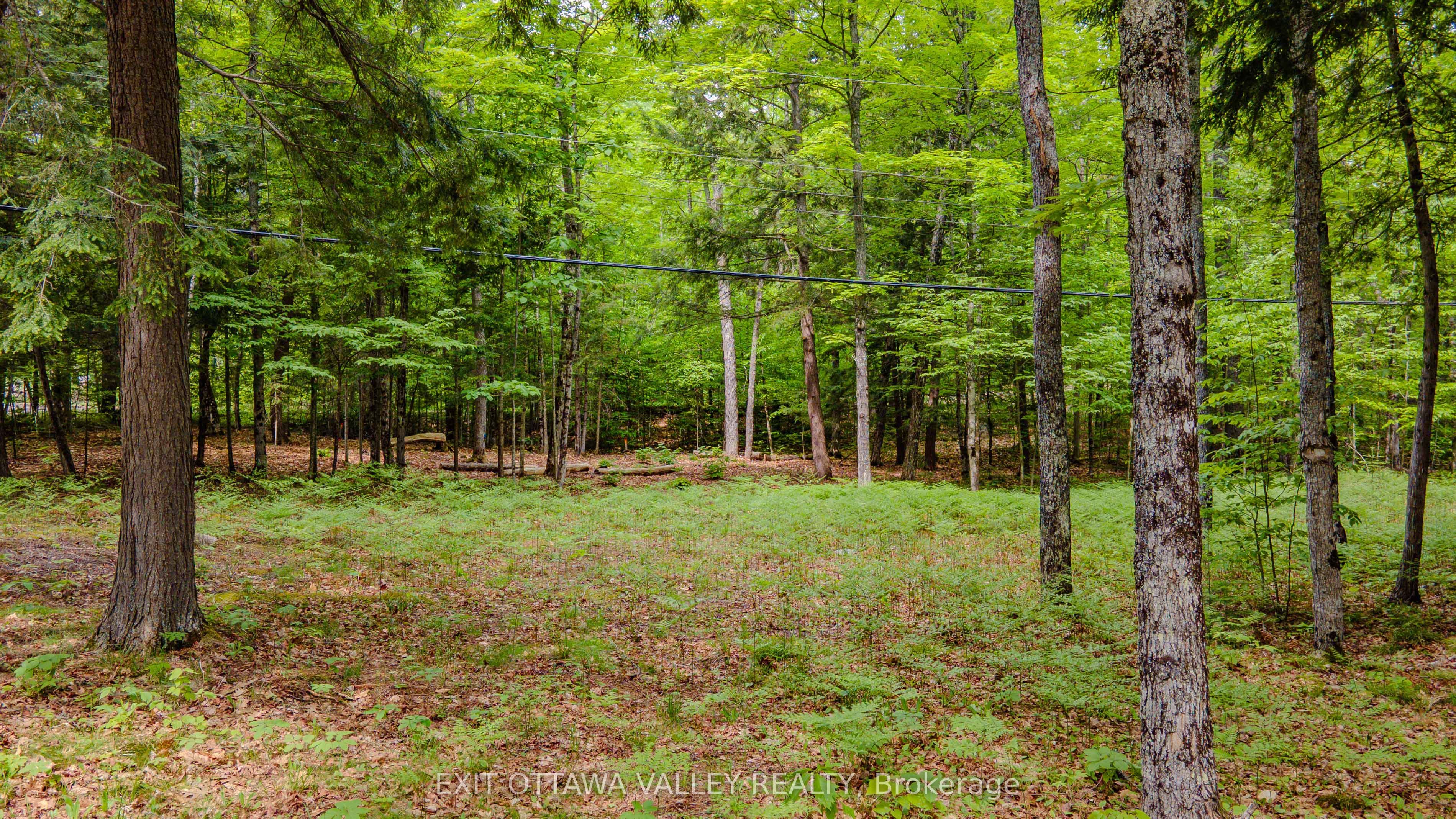 0 Lakeshore Drive Property Photo 28