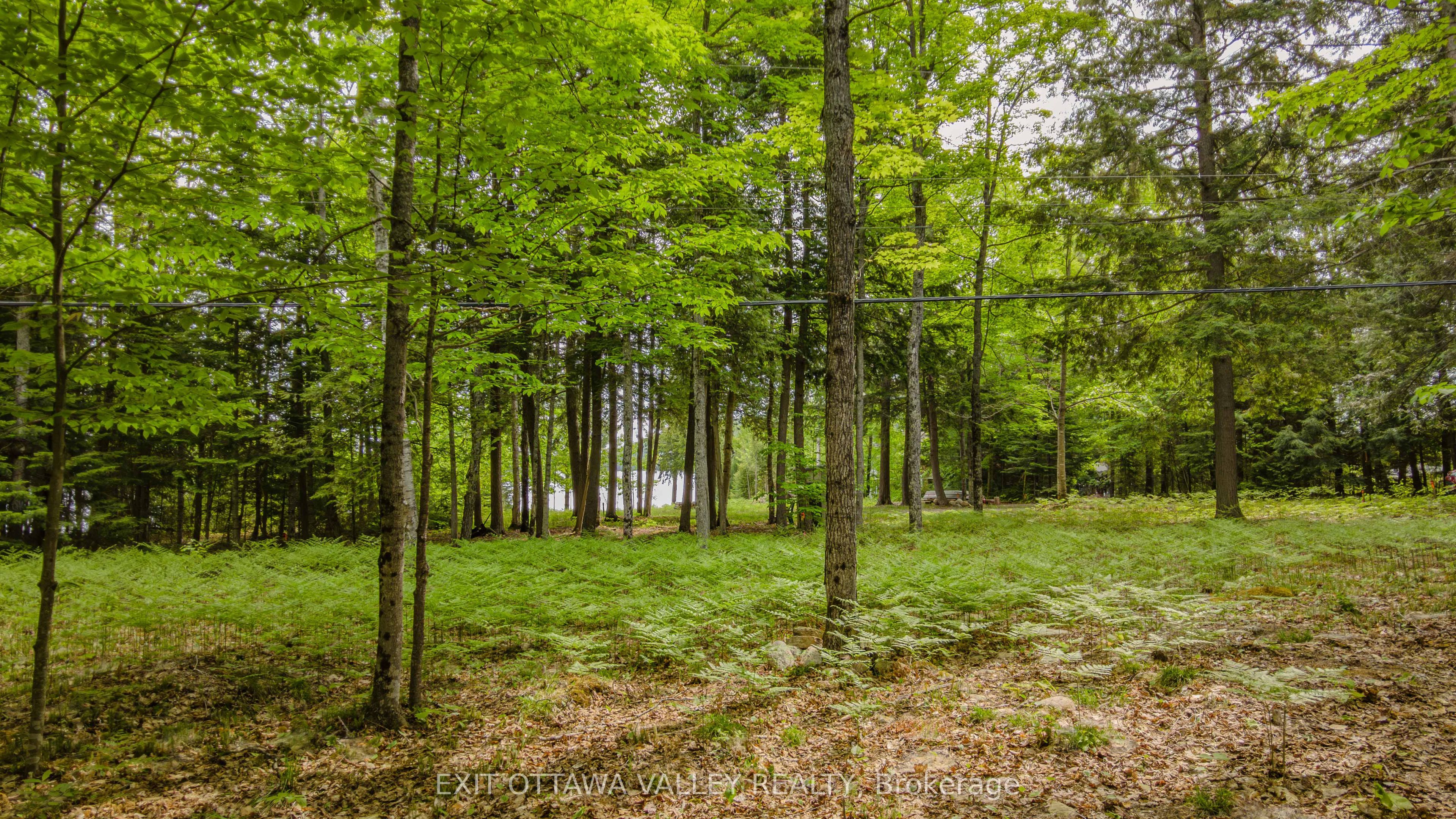 0 Lakeshore Drive Property Photo 33