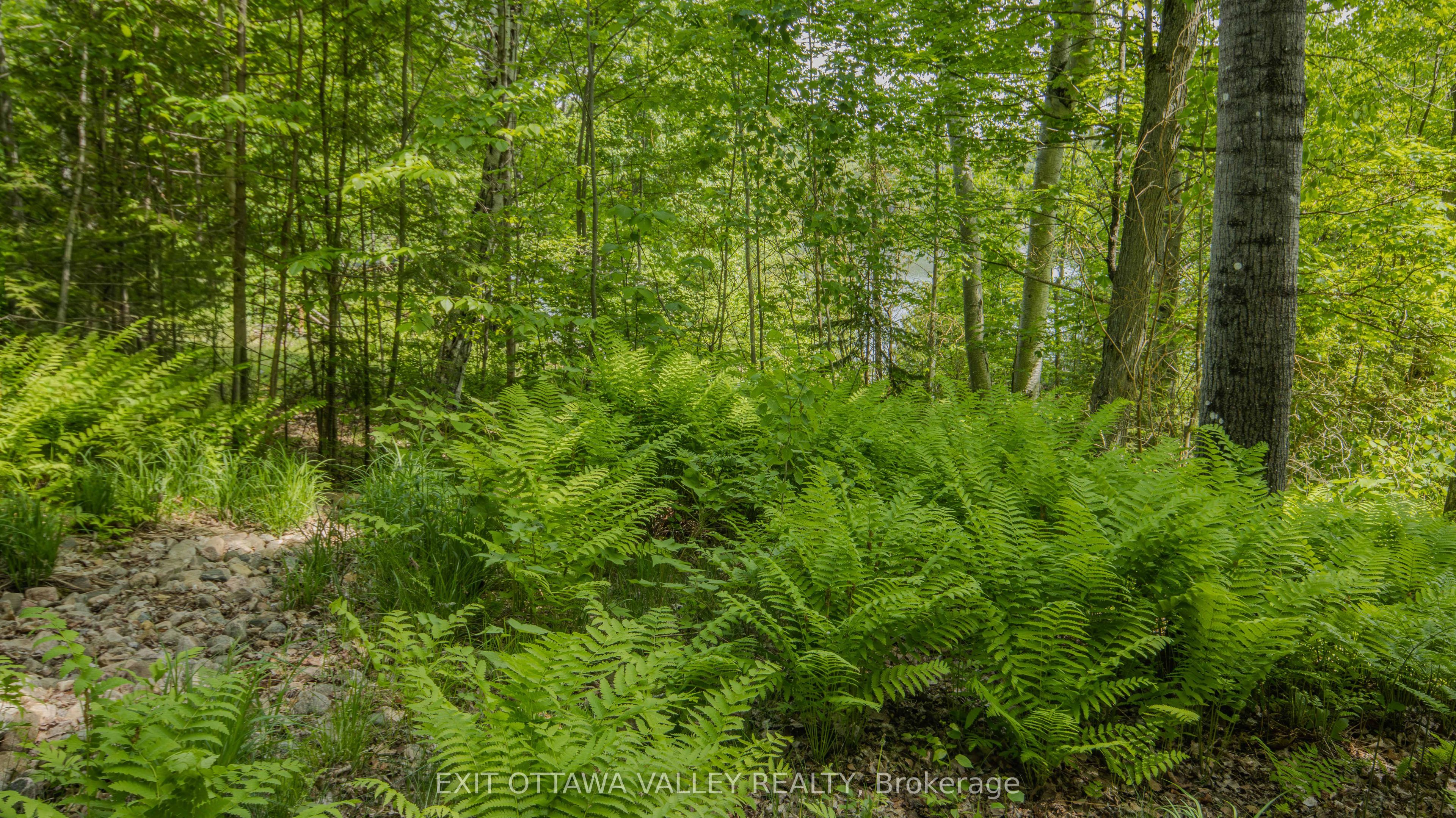 0 Lakeshore Drive Property Photo 39