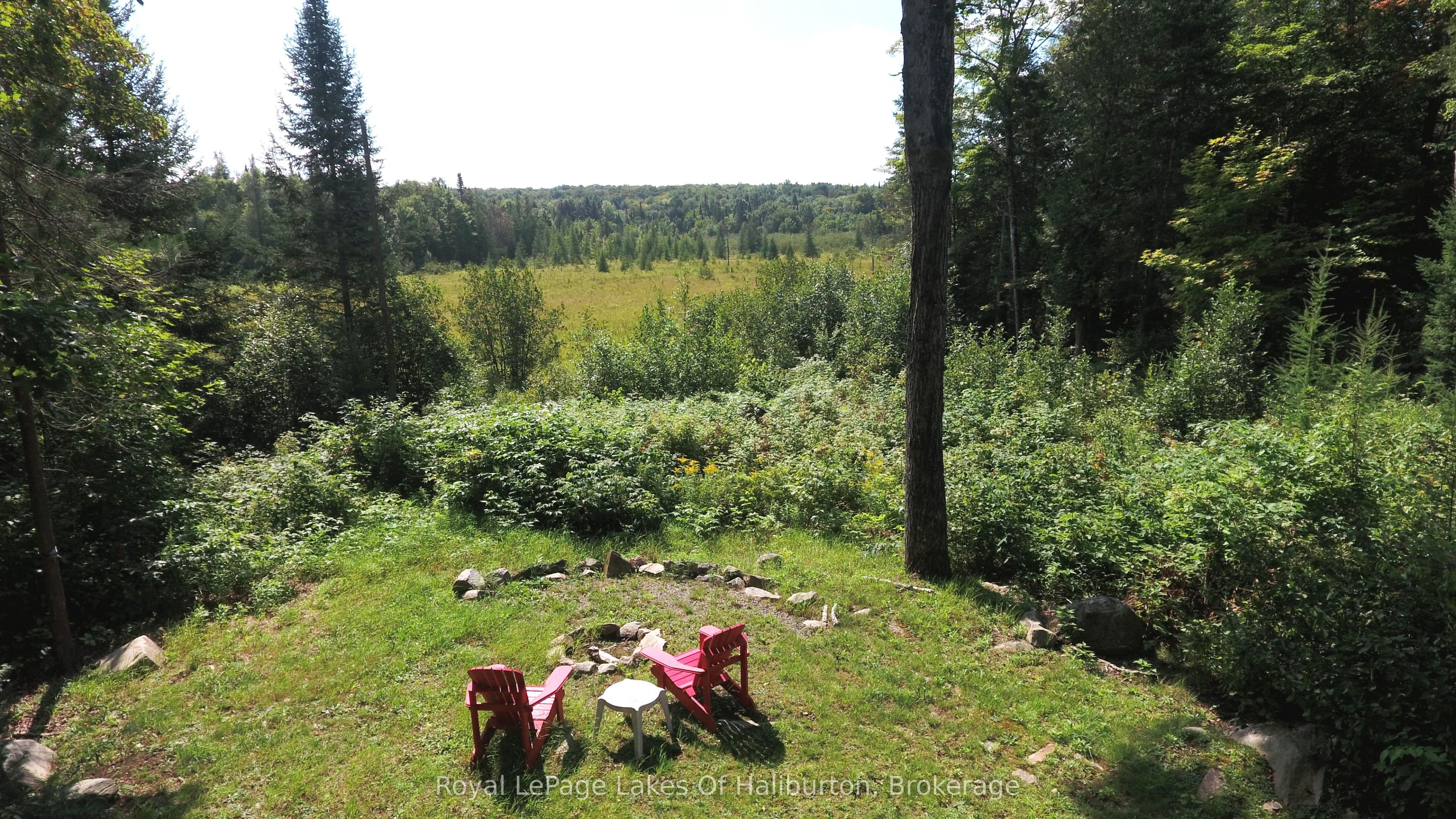 1337 Irish Line Road Property Photo 12