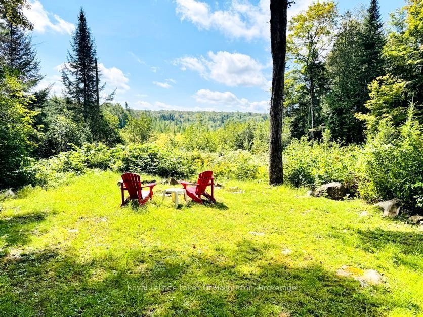 1337 Irish Line Road Property Photo 27