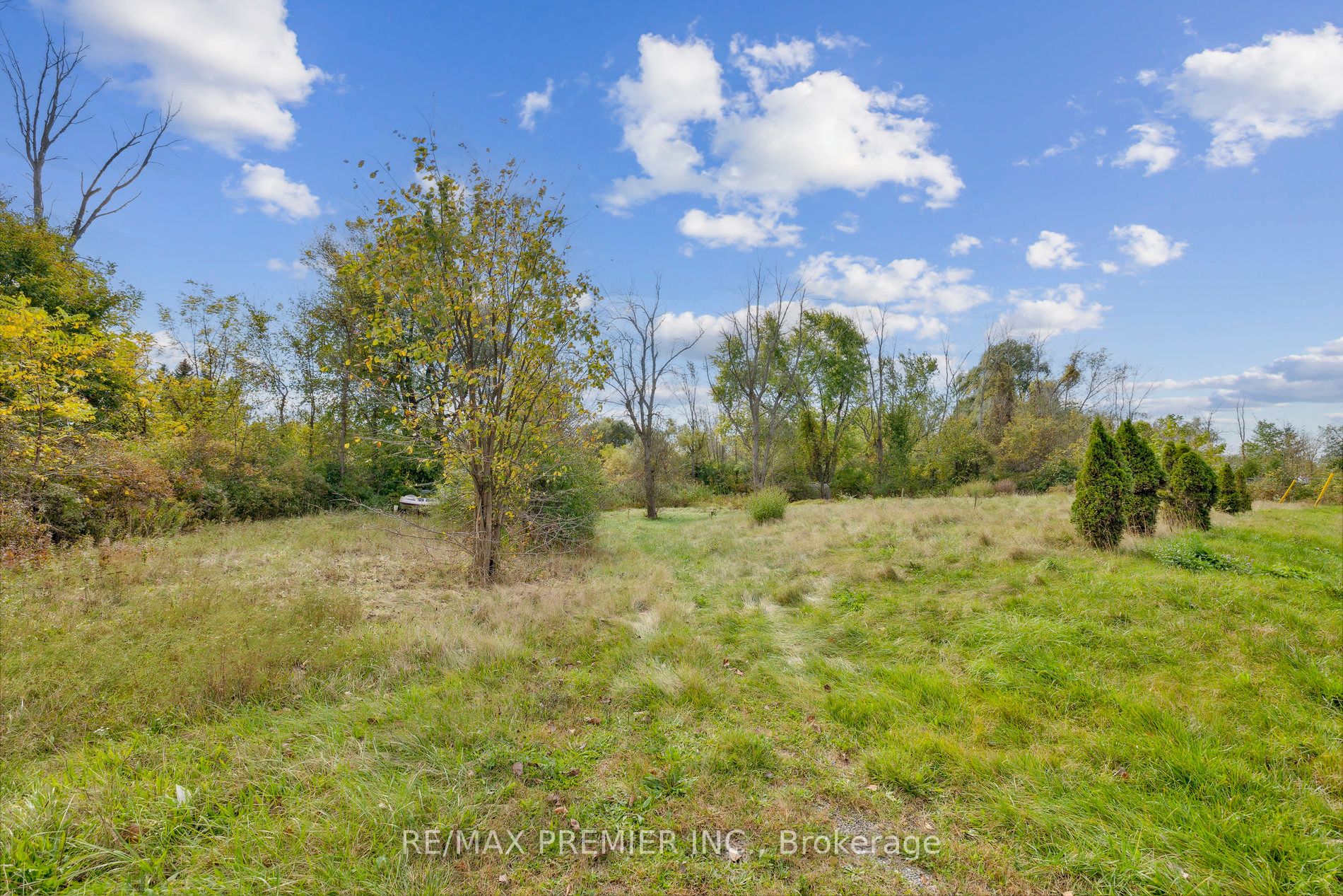 294 Lyon's Creek Road Property Photo 20