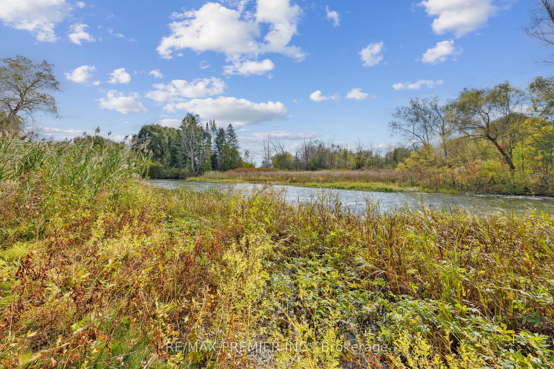 294 Lyon's Creek Road Property Photo 23