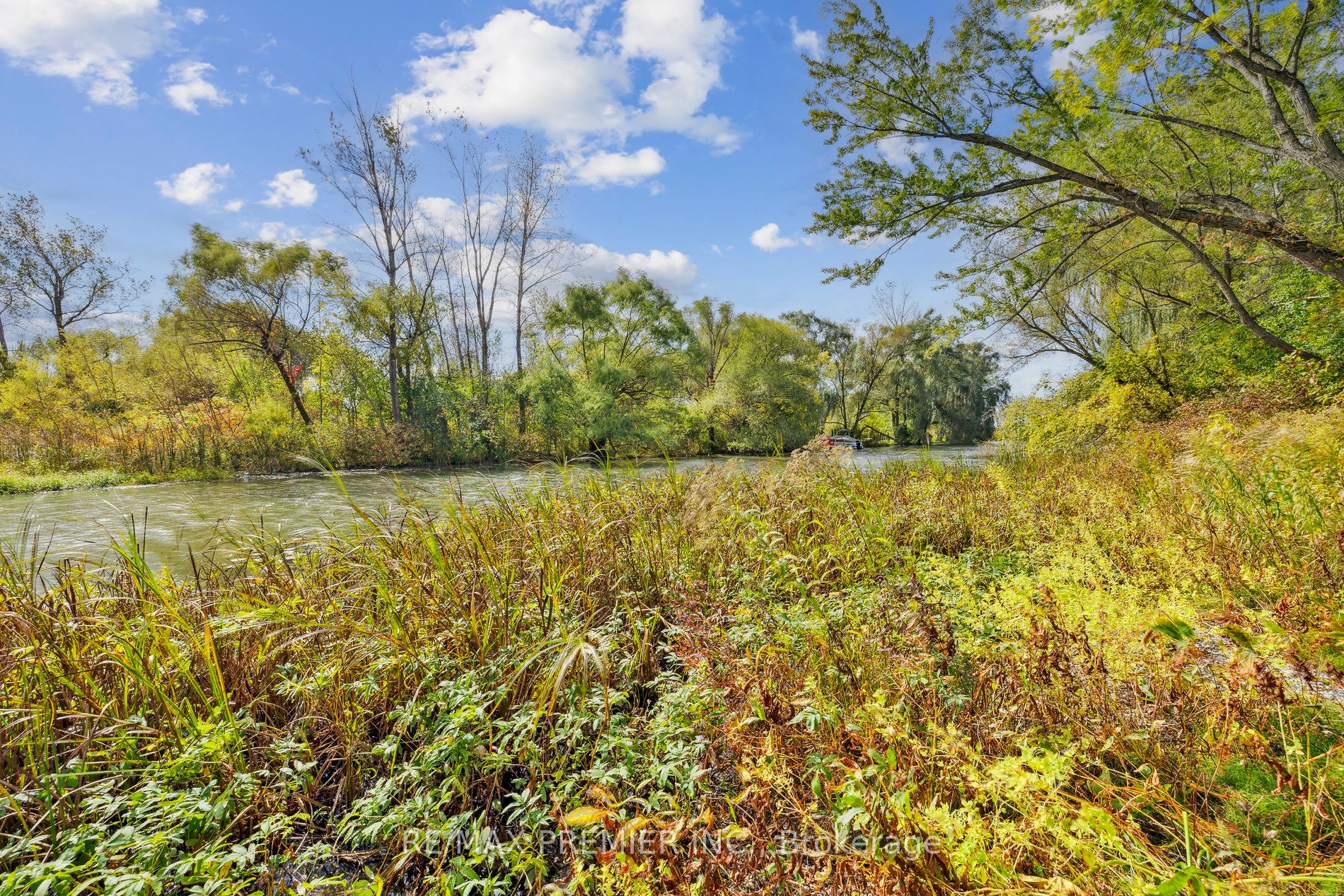 294 Lyon's Creek Road Property Photo 25