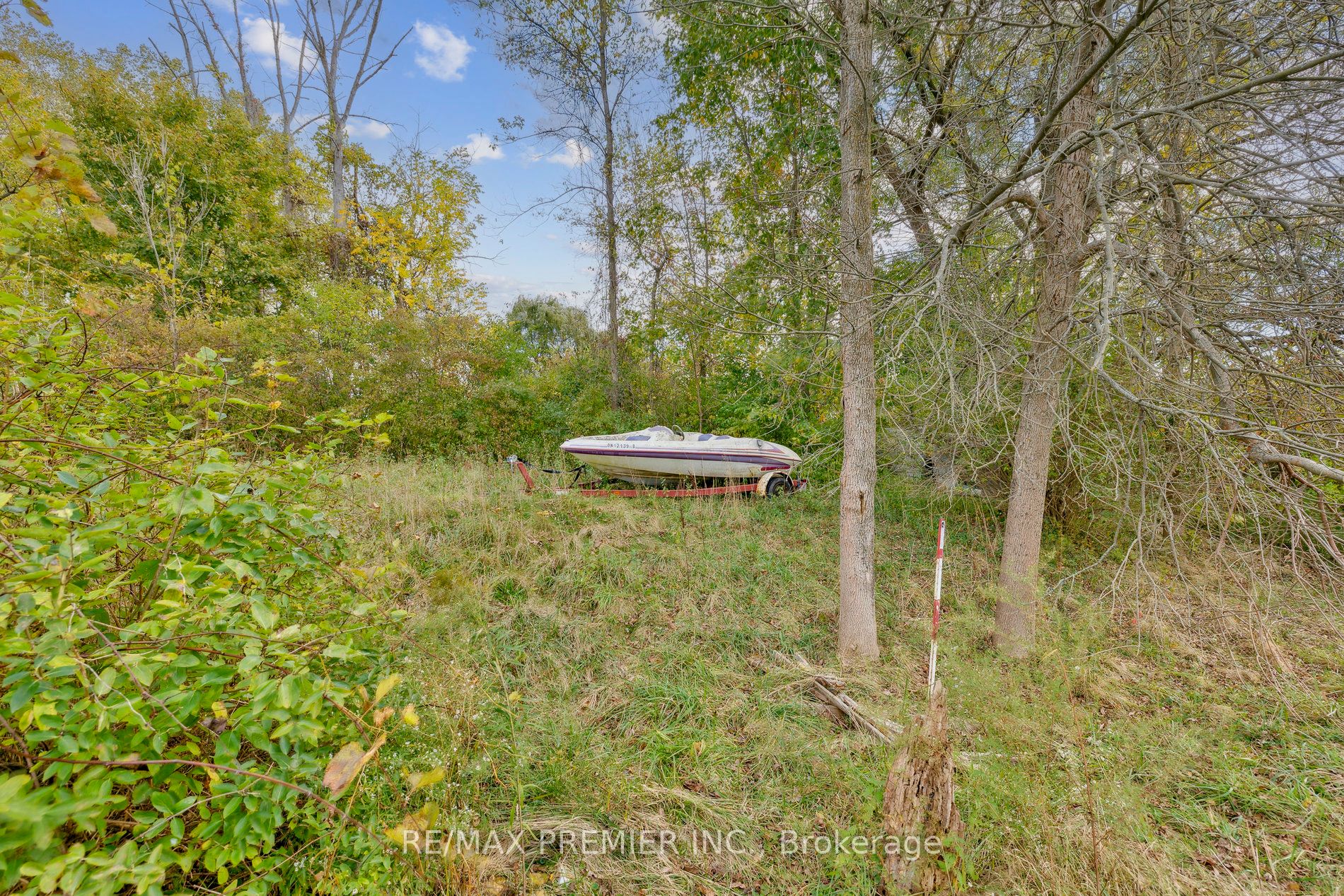 294 Lyon's Creek Road Property Photo 26