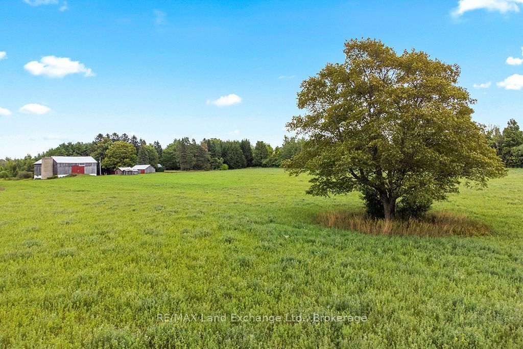 53 Concession 4 Road Property Photo 30