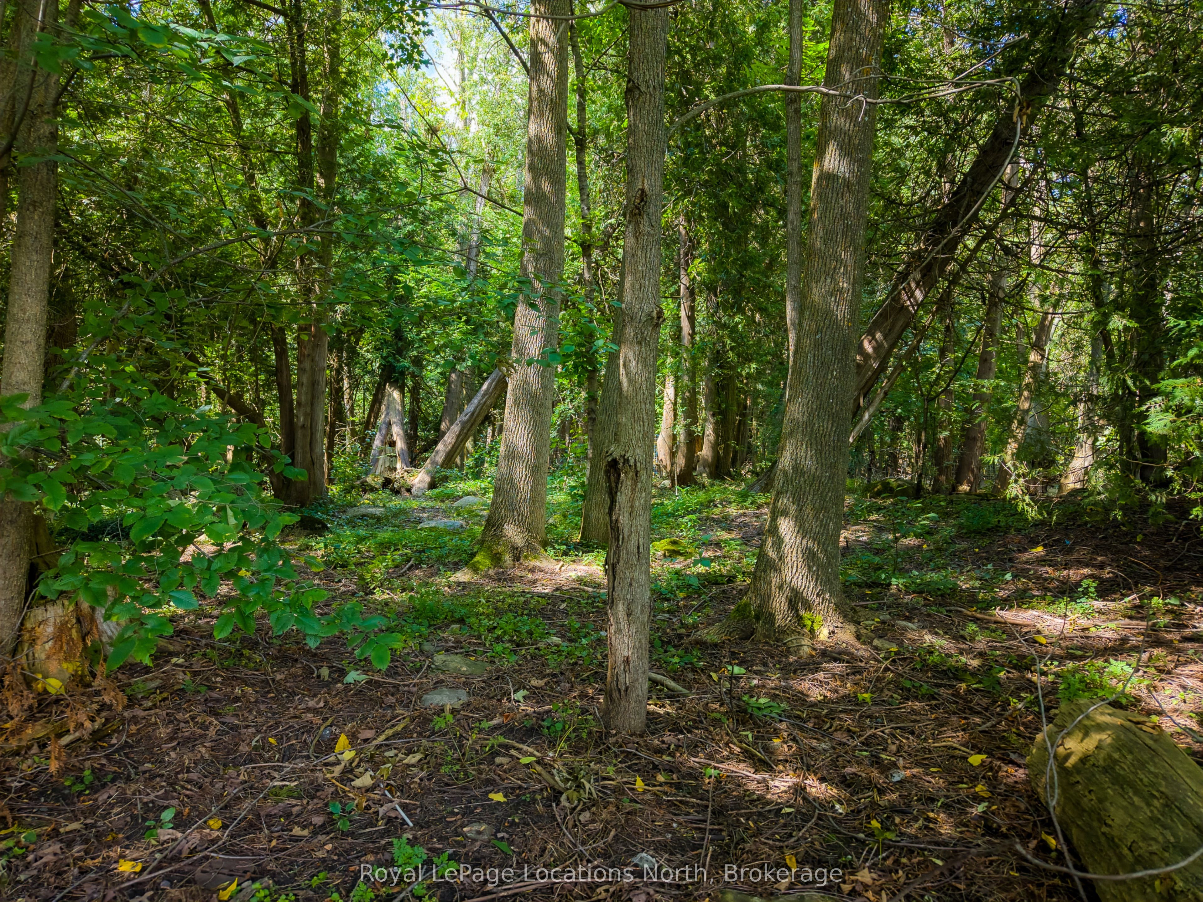 145839 Grey Road 12 Property Photo 46
