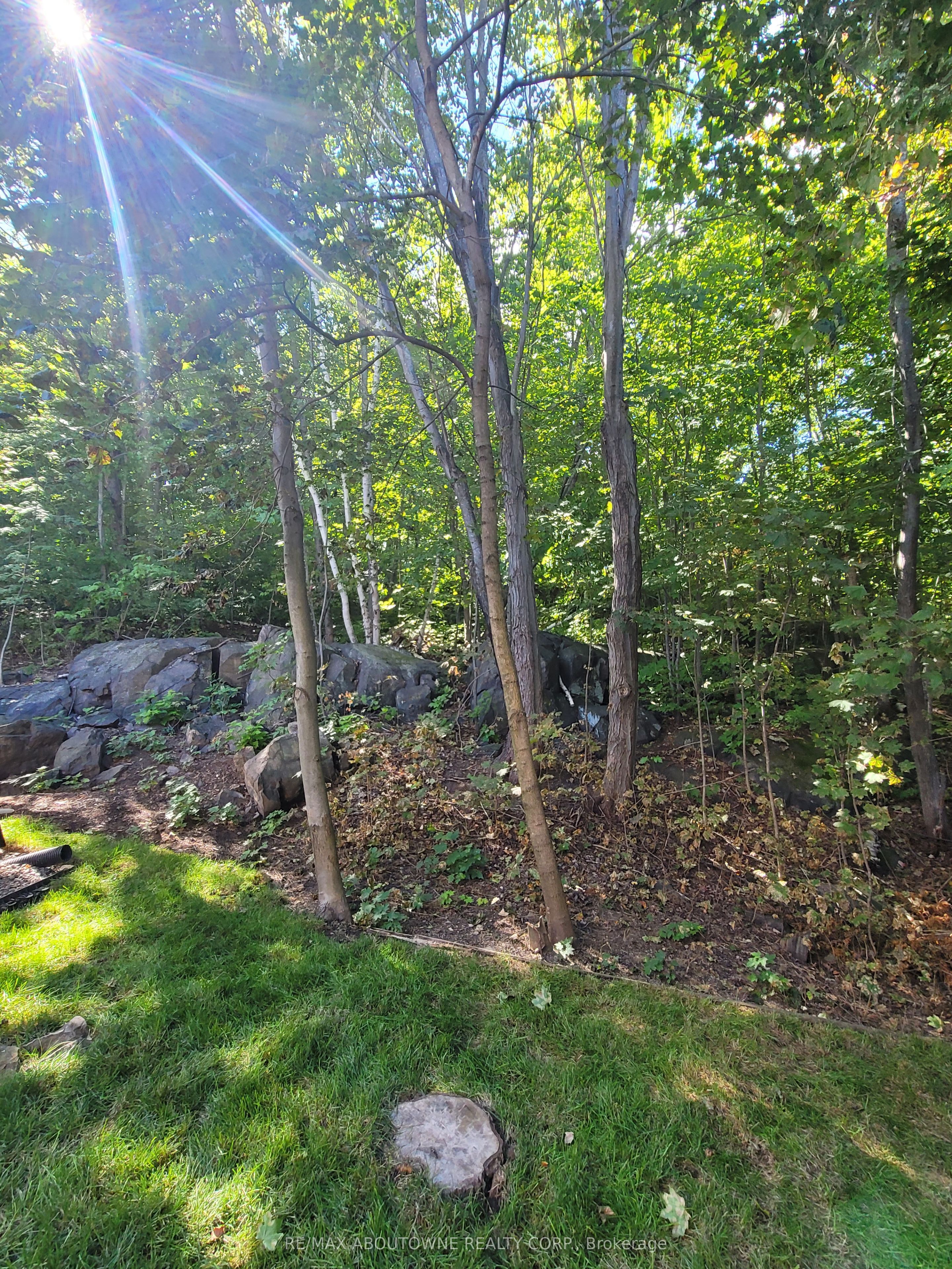 2023 Latimer Crescent Property Photo 44