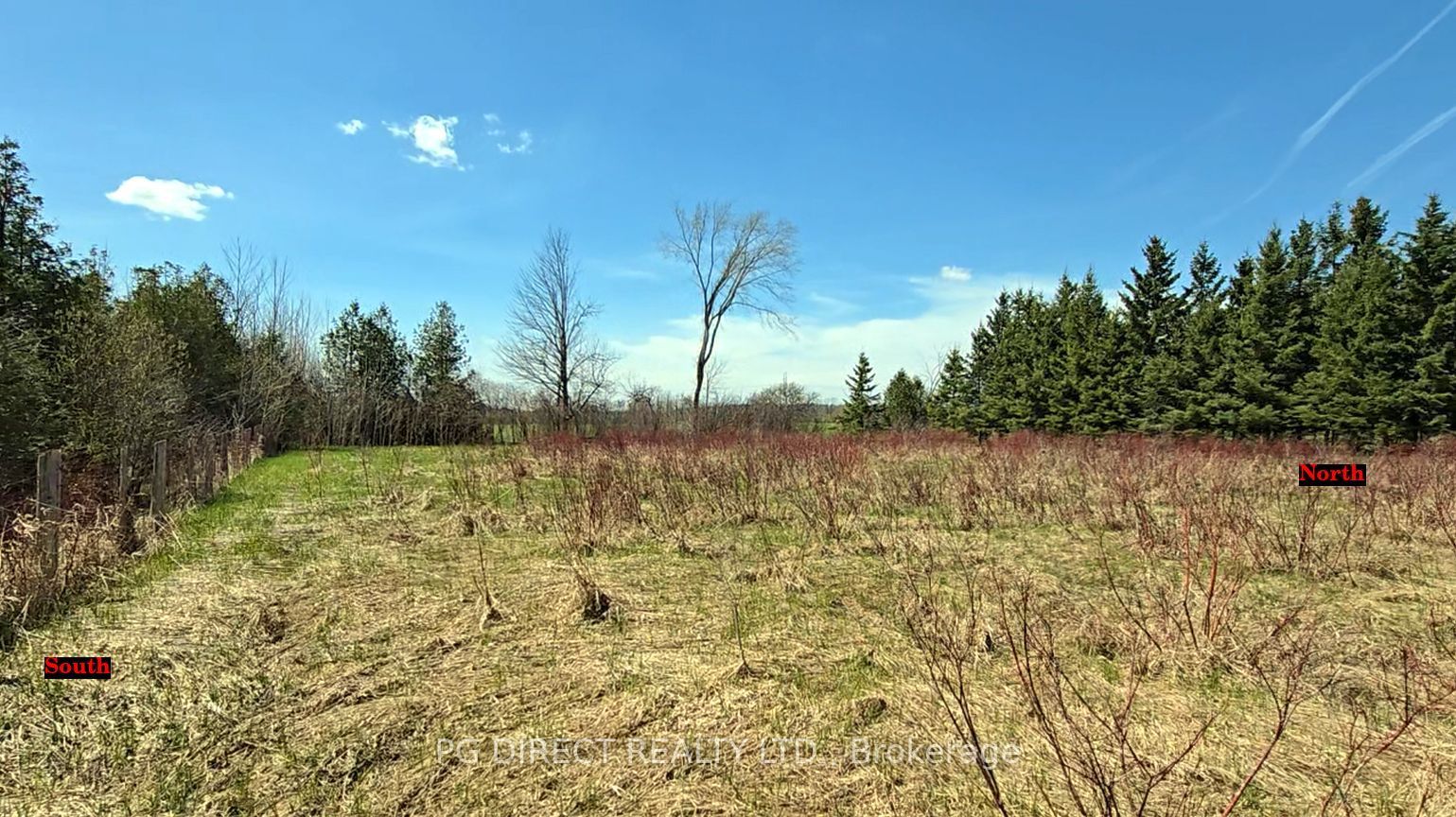 Lot 18 8th Concession Property Photo 6