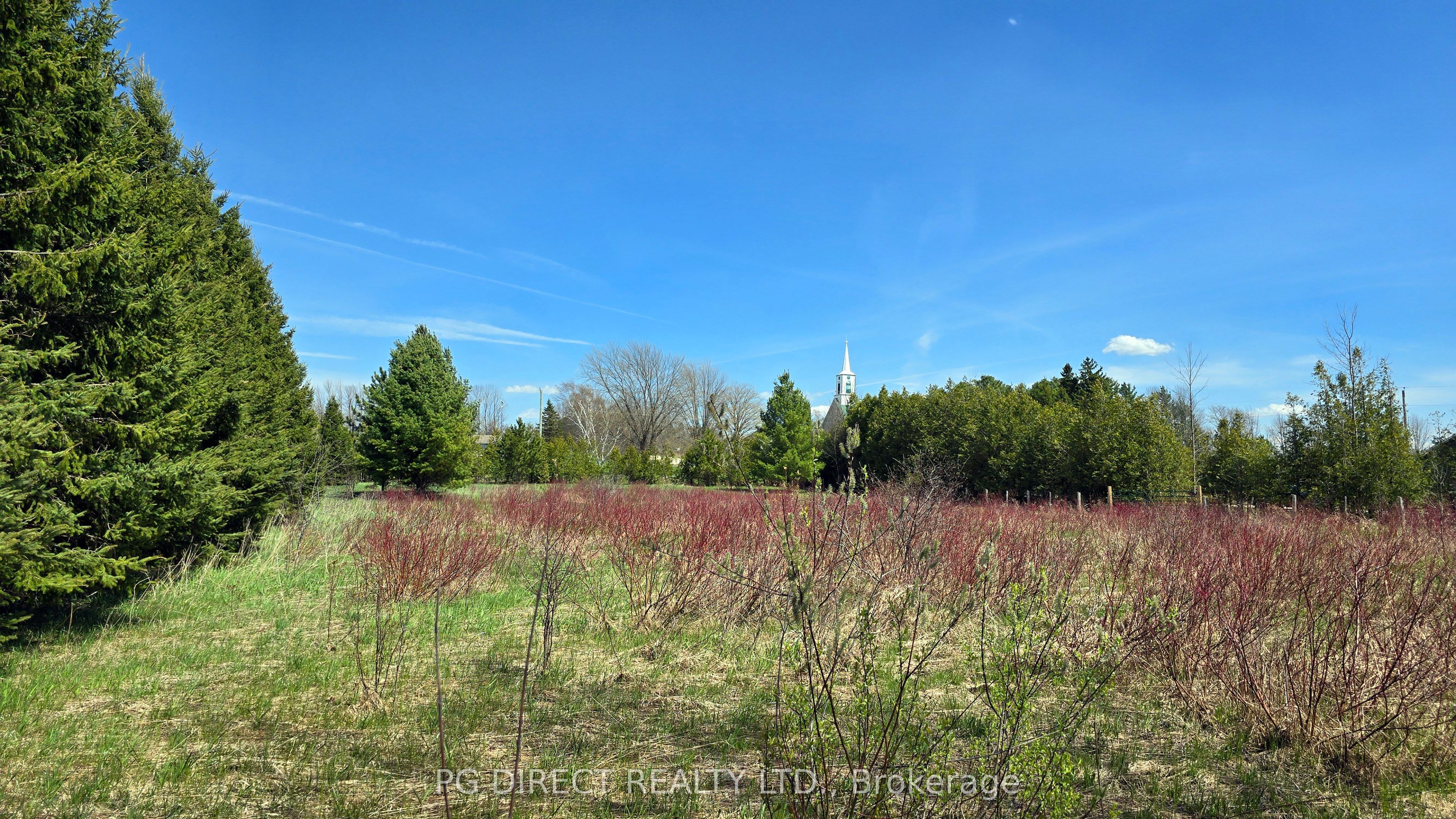 Lot 18 8th Concession Property Photo 8