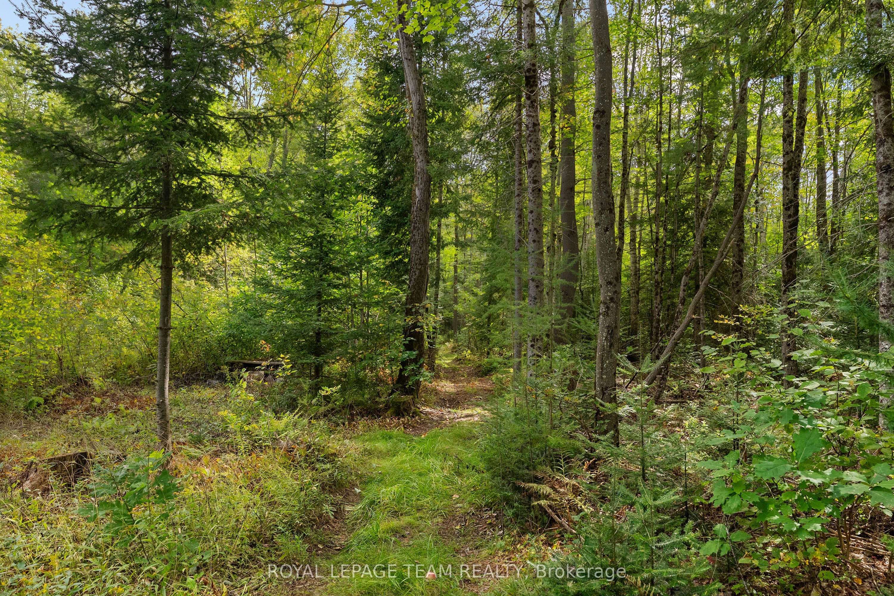 484 Wylie Road Property Photo 45