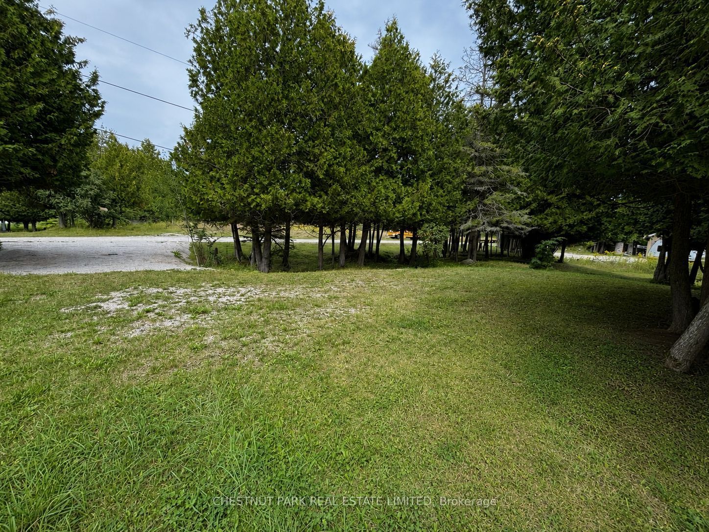14 Given Road N Property Photo 19
