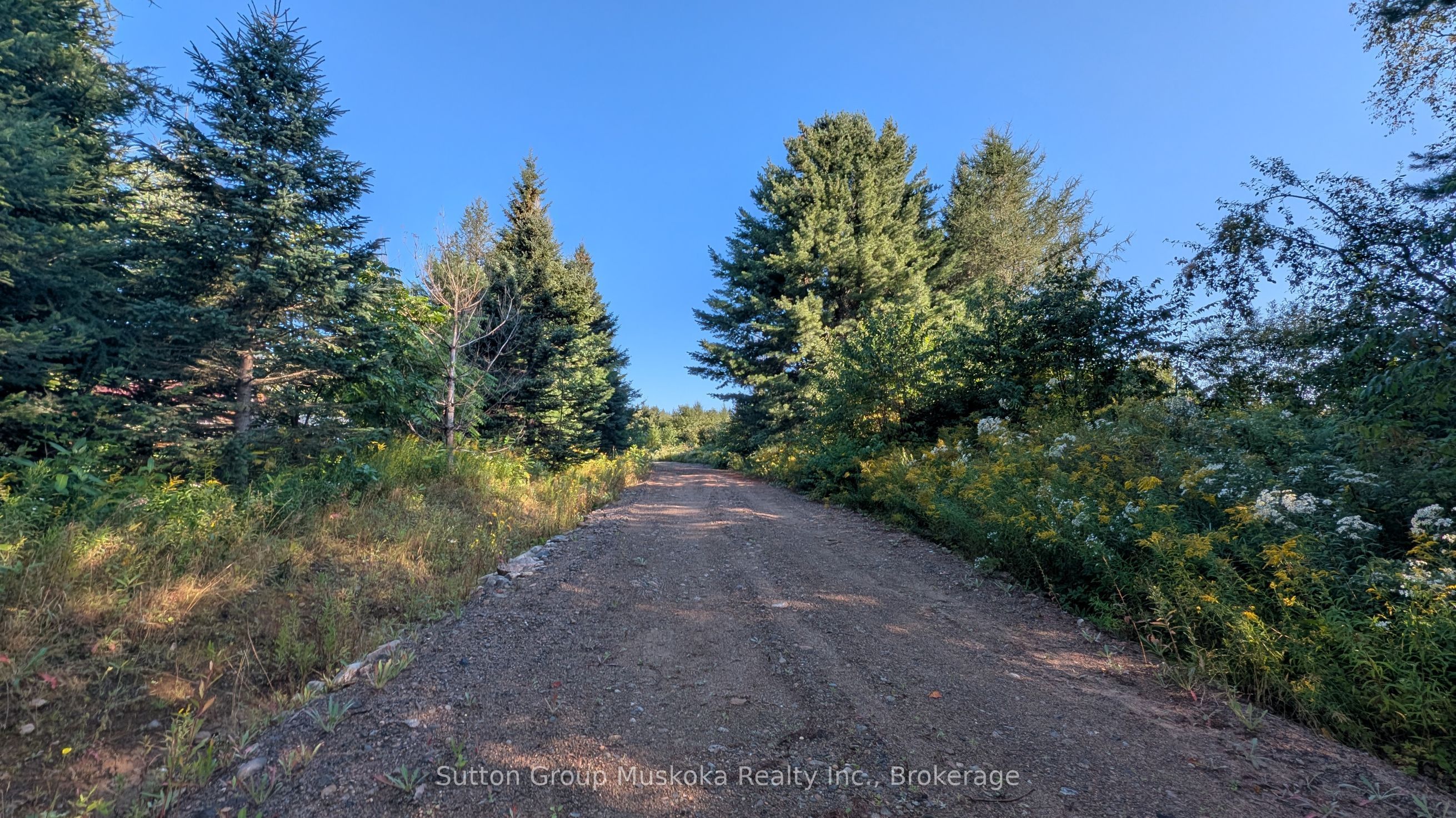 00 Savage Settlement Road Property Photo 1