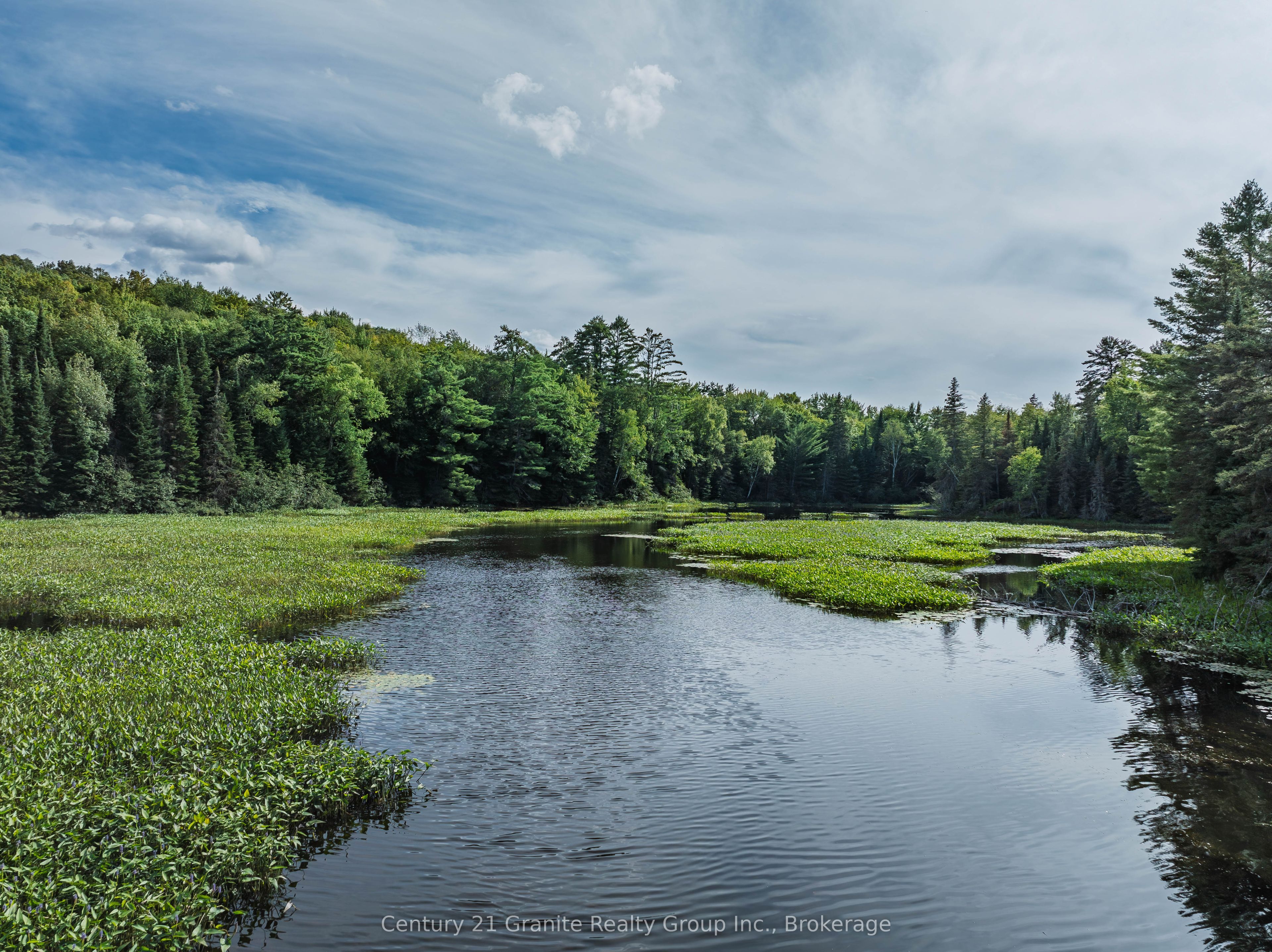 1241 Koshlong Lake Road Property Photo 4