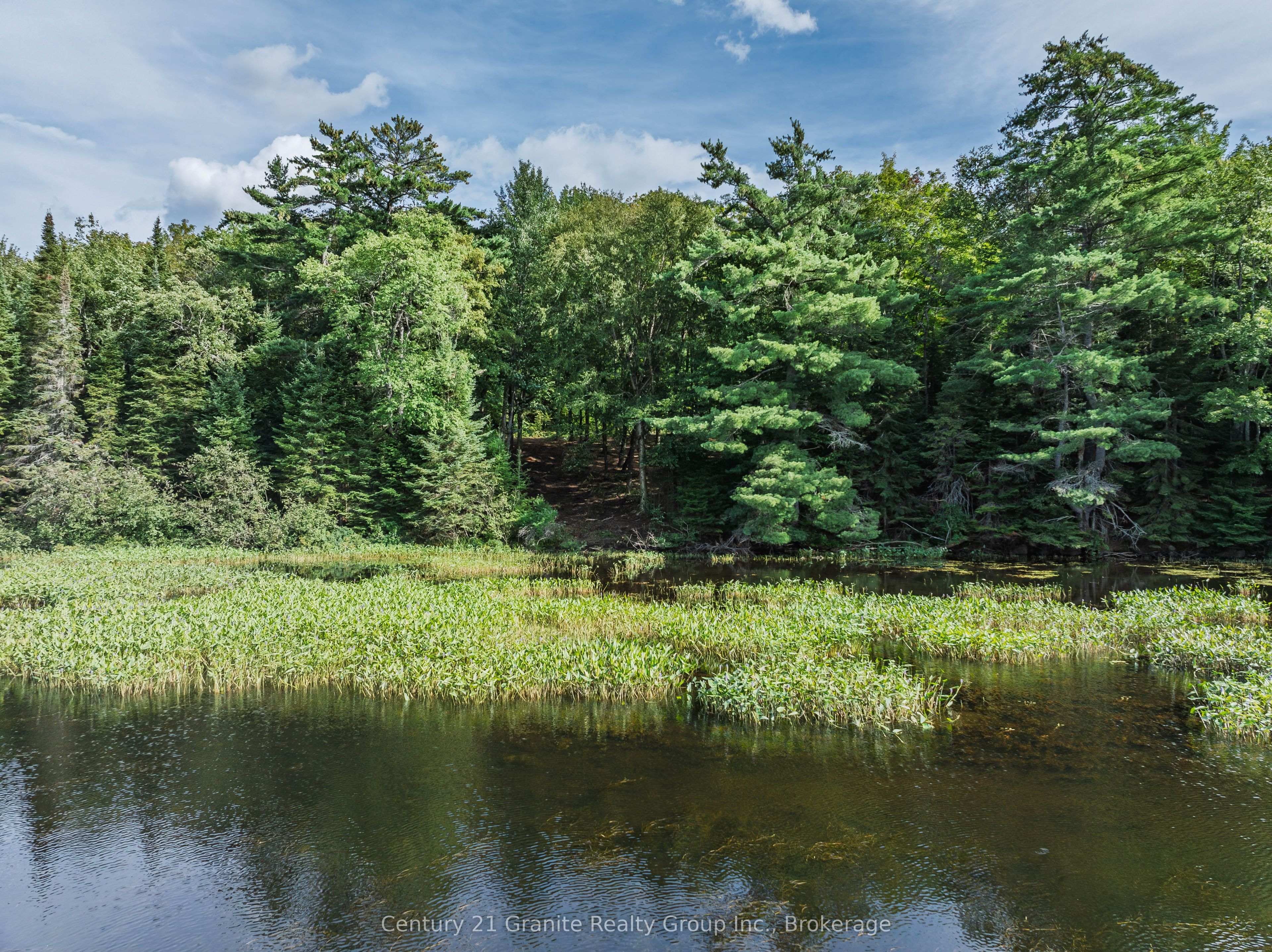 1241 Koshlong Lake Road Property Photo 5