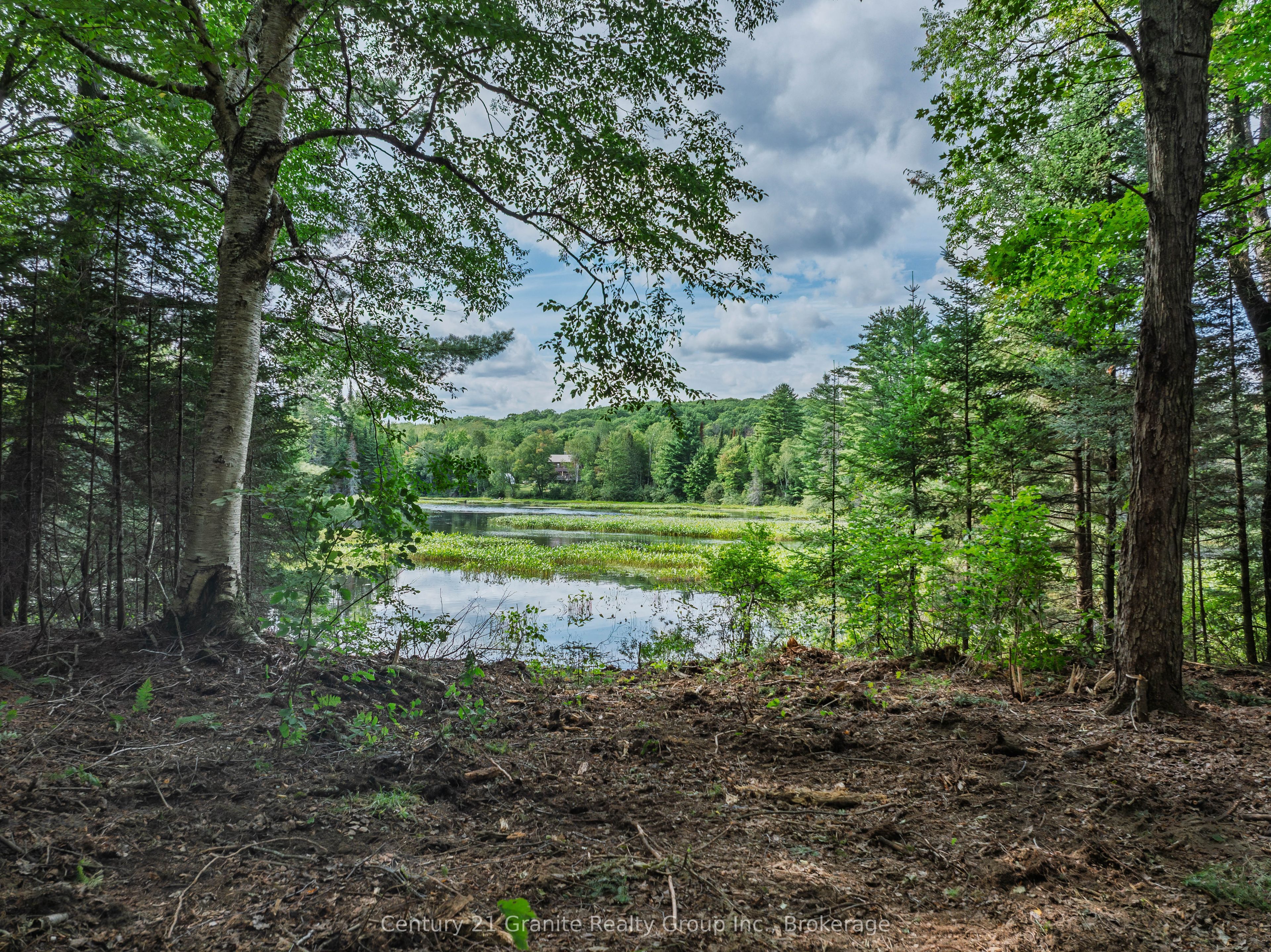 1241 Koshlong Lake Road Property Photo 6