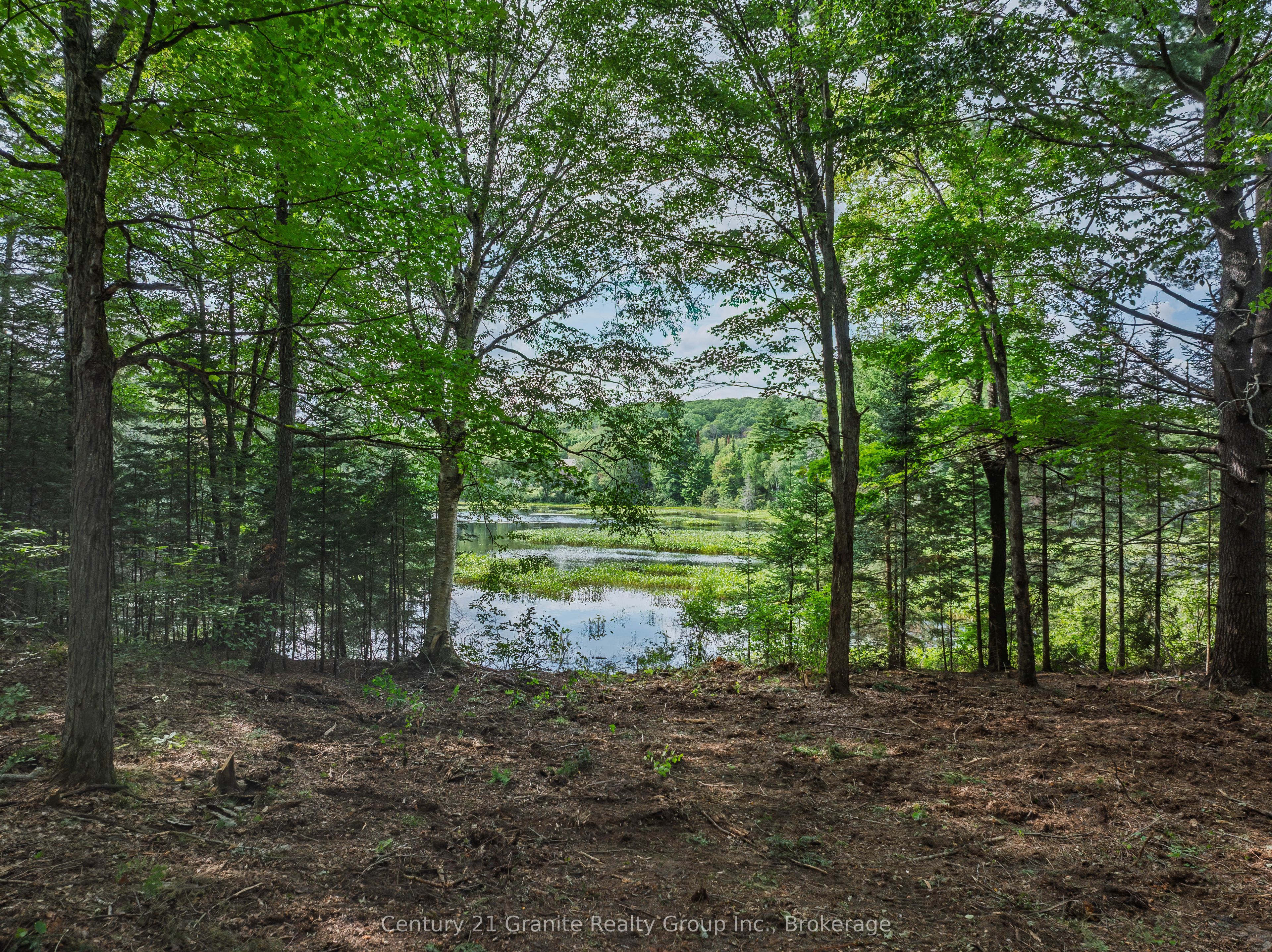 1241 Koshlong Lake Road Property Photo 7