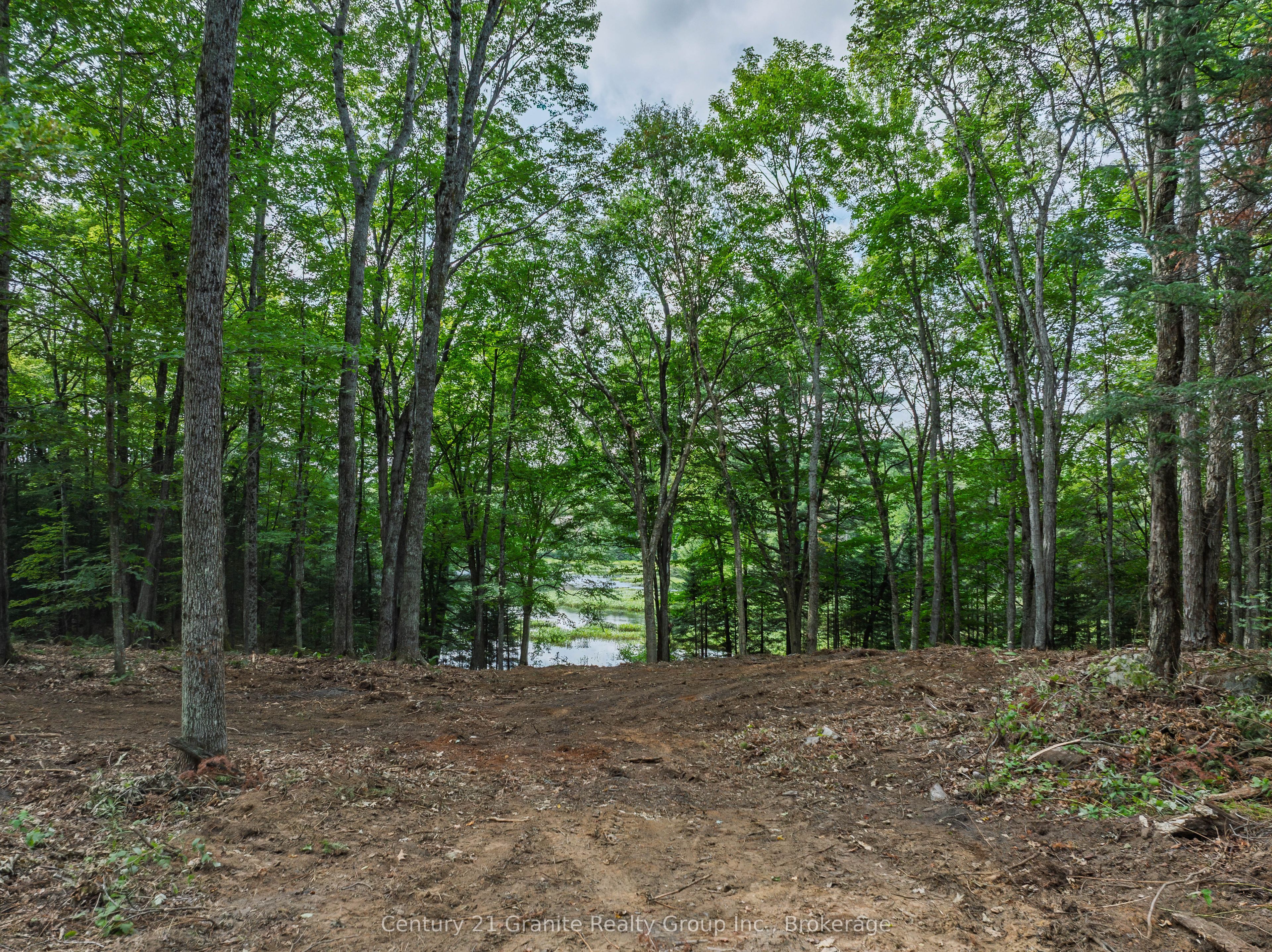 1241 Koshlong Lake Road Property Photo 8