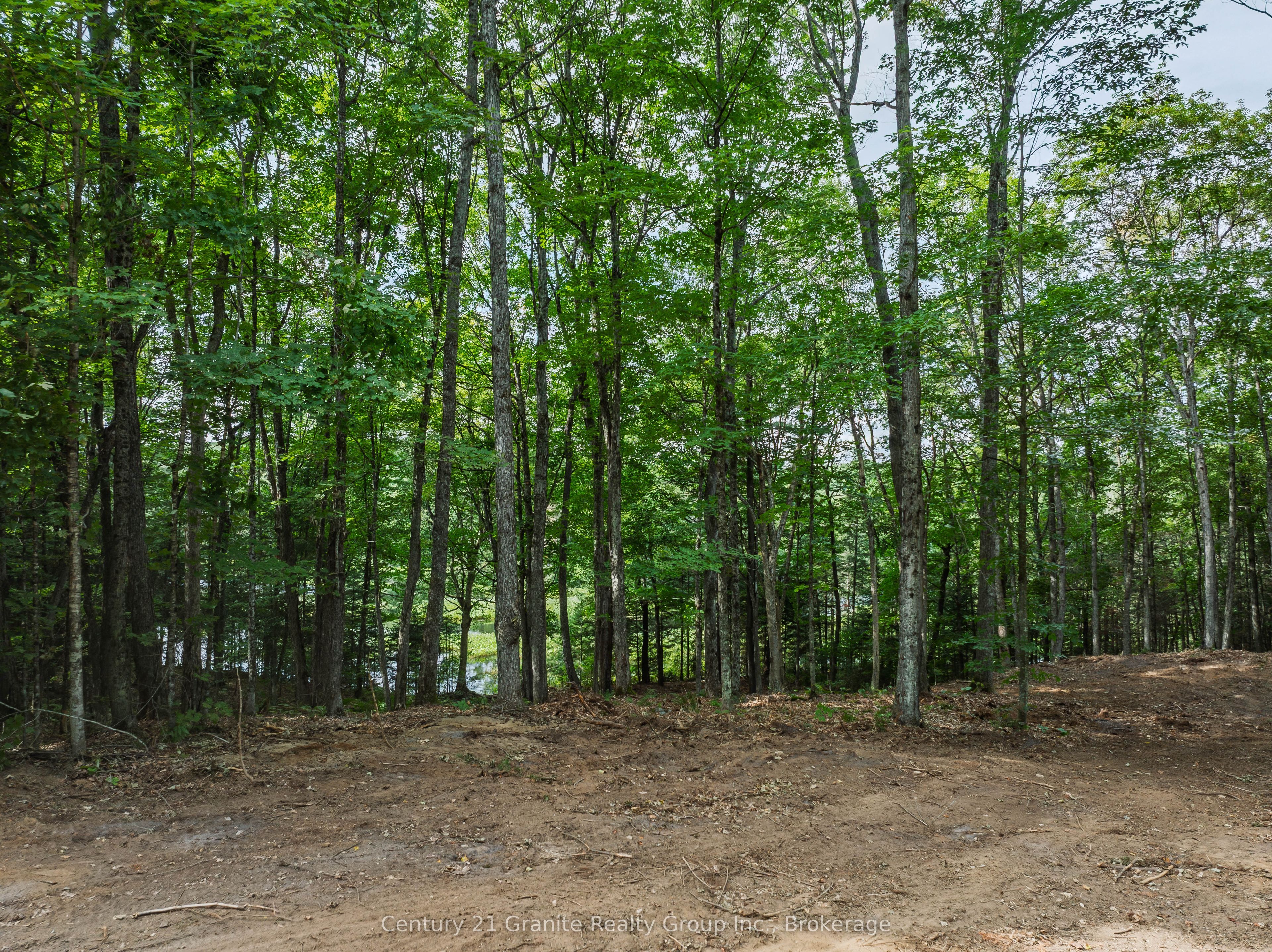 1241 Koshlong Lake Road Property Photo 9