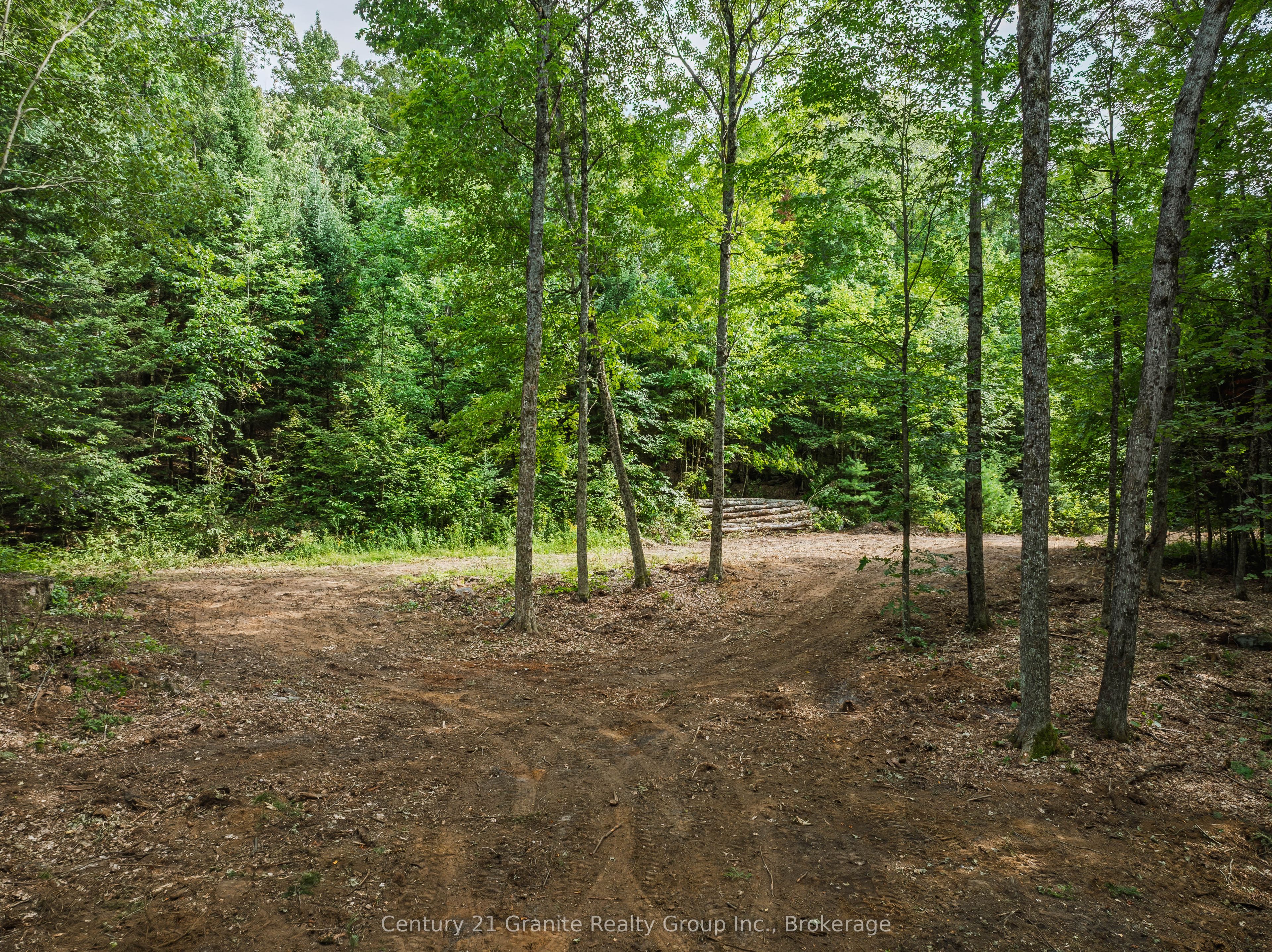 1241 Koshlong Lake Road Property Photo 10