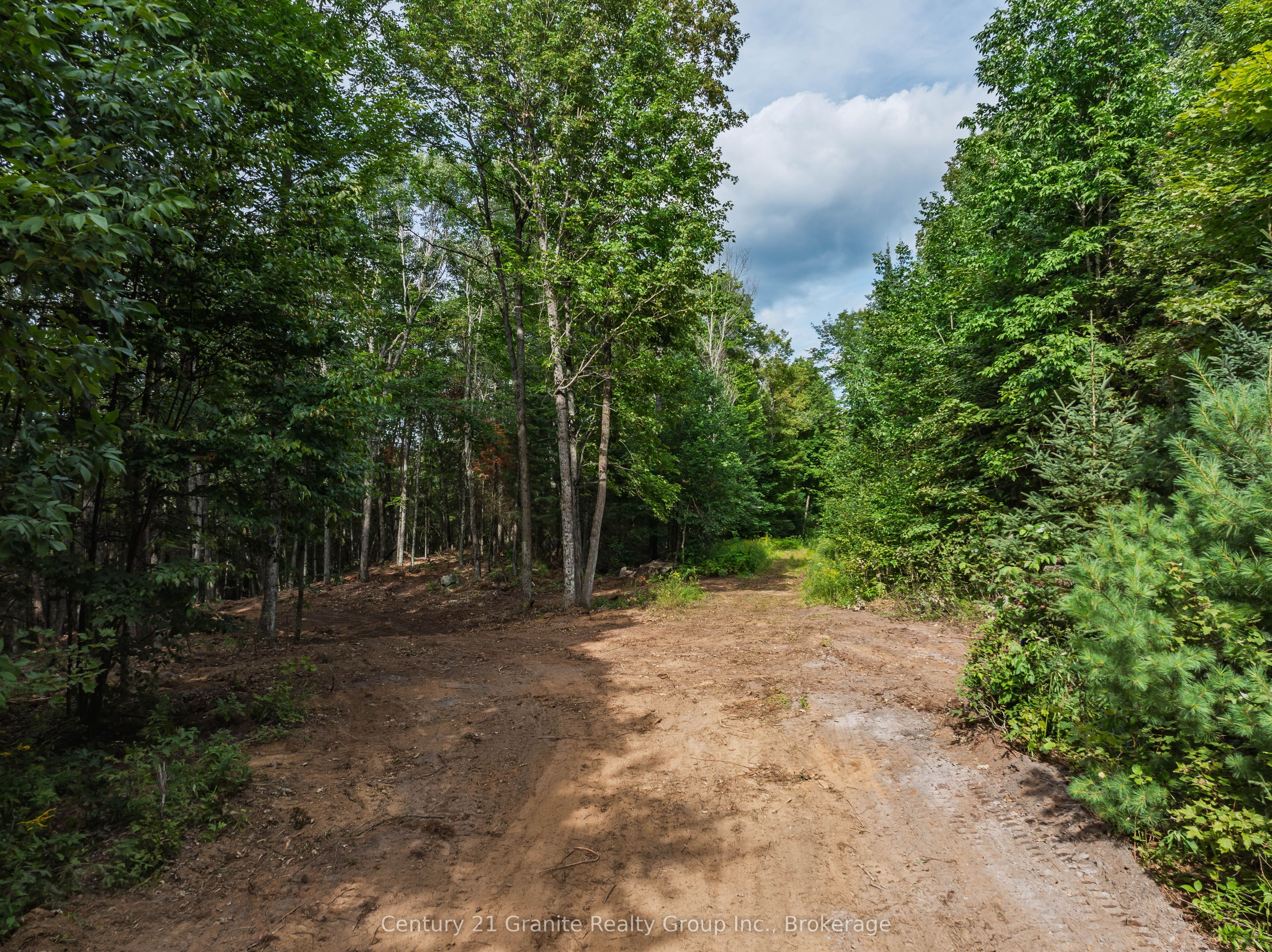 1241 Koshlong Lake Road Property Photo 11