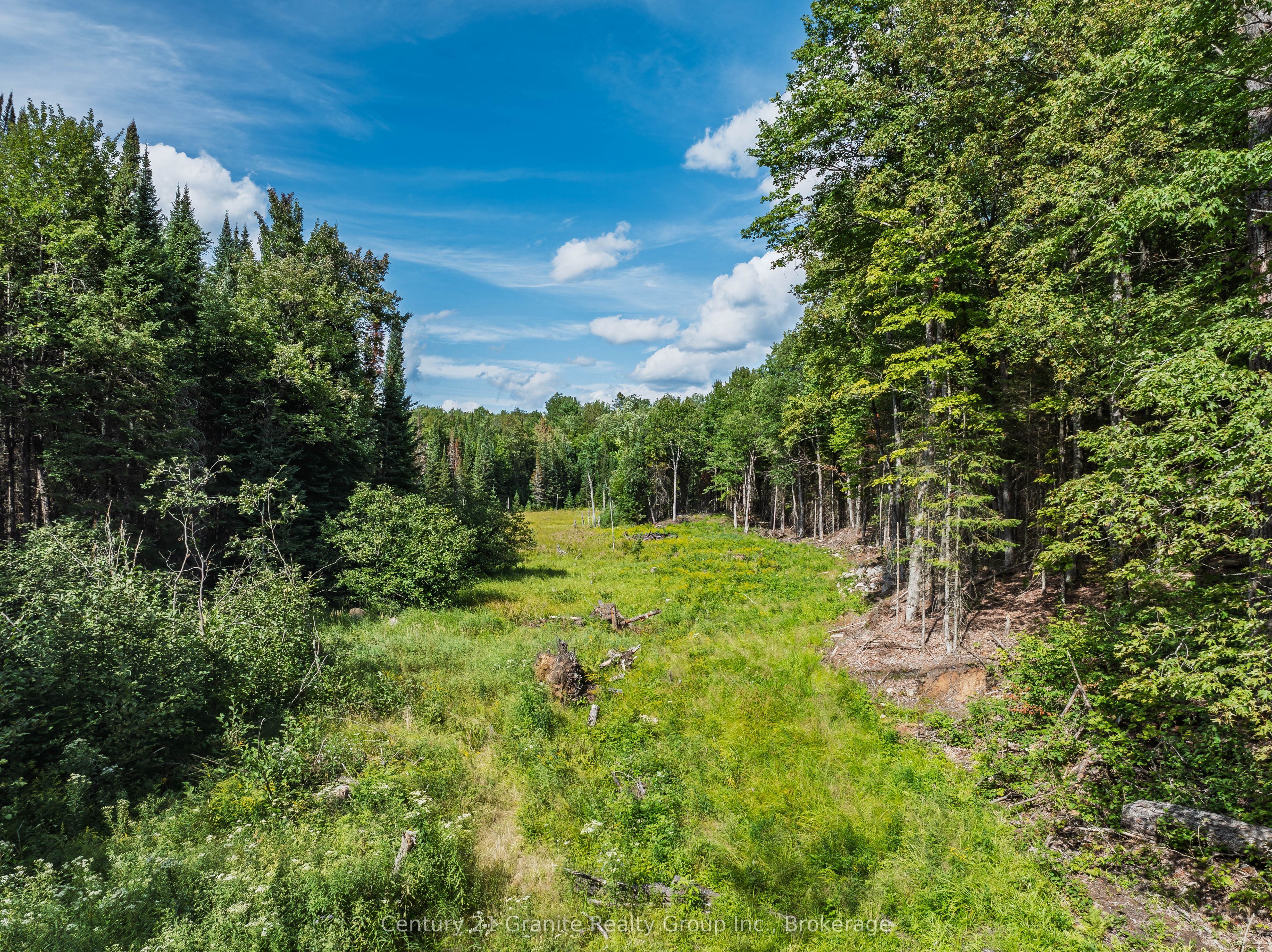 1241 Koshlong Lake Road Property Photo 23